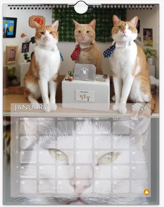 Screenshot 2025-12-07 165814.png