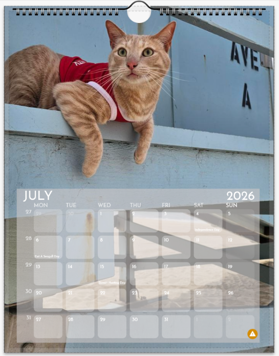 Screenshot 2025-12-07 165833.png