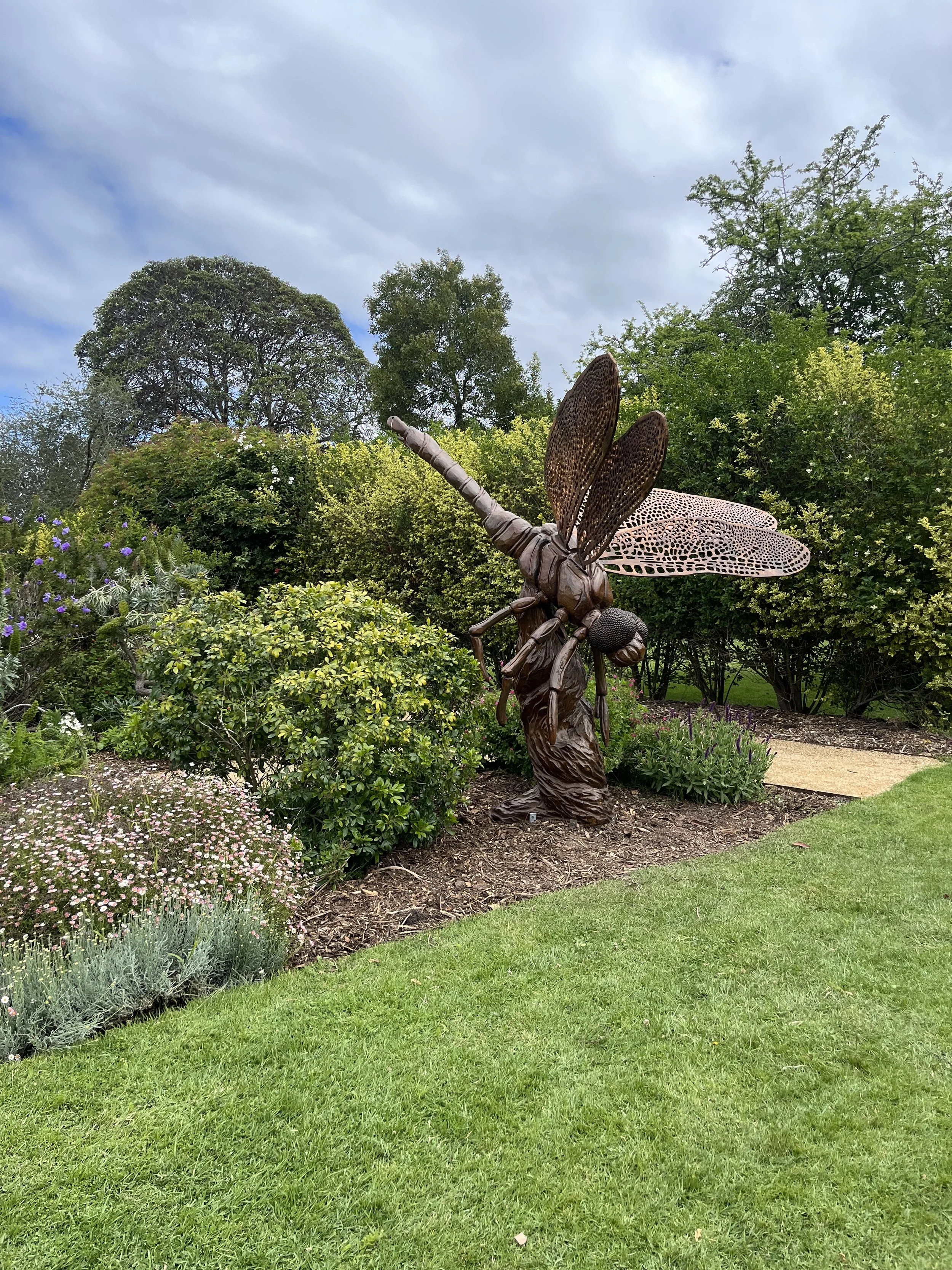 Sensory Garden 3.JPG