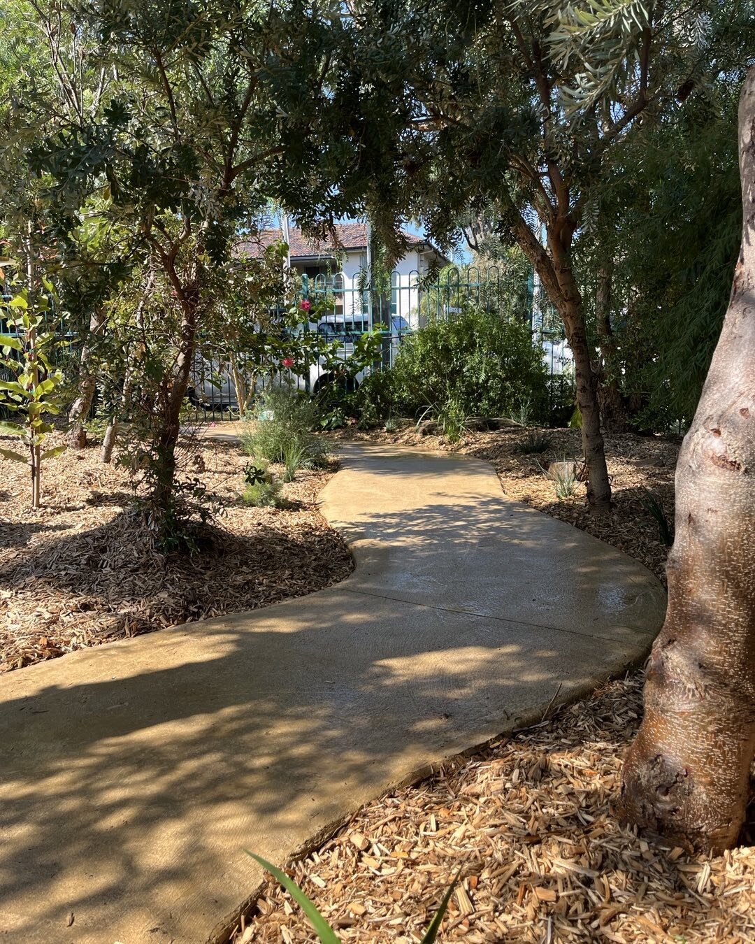 It&rsquo;s such a simple principle perhaps! Consider an access pathway that meanders  And makes its way through existing foliage. A wonderful way for ALL children to experience the little areas of school and kinder GARDEN. #accessibility in nature