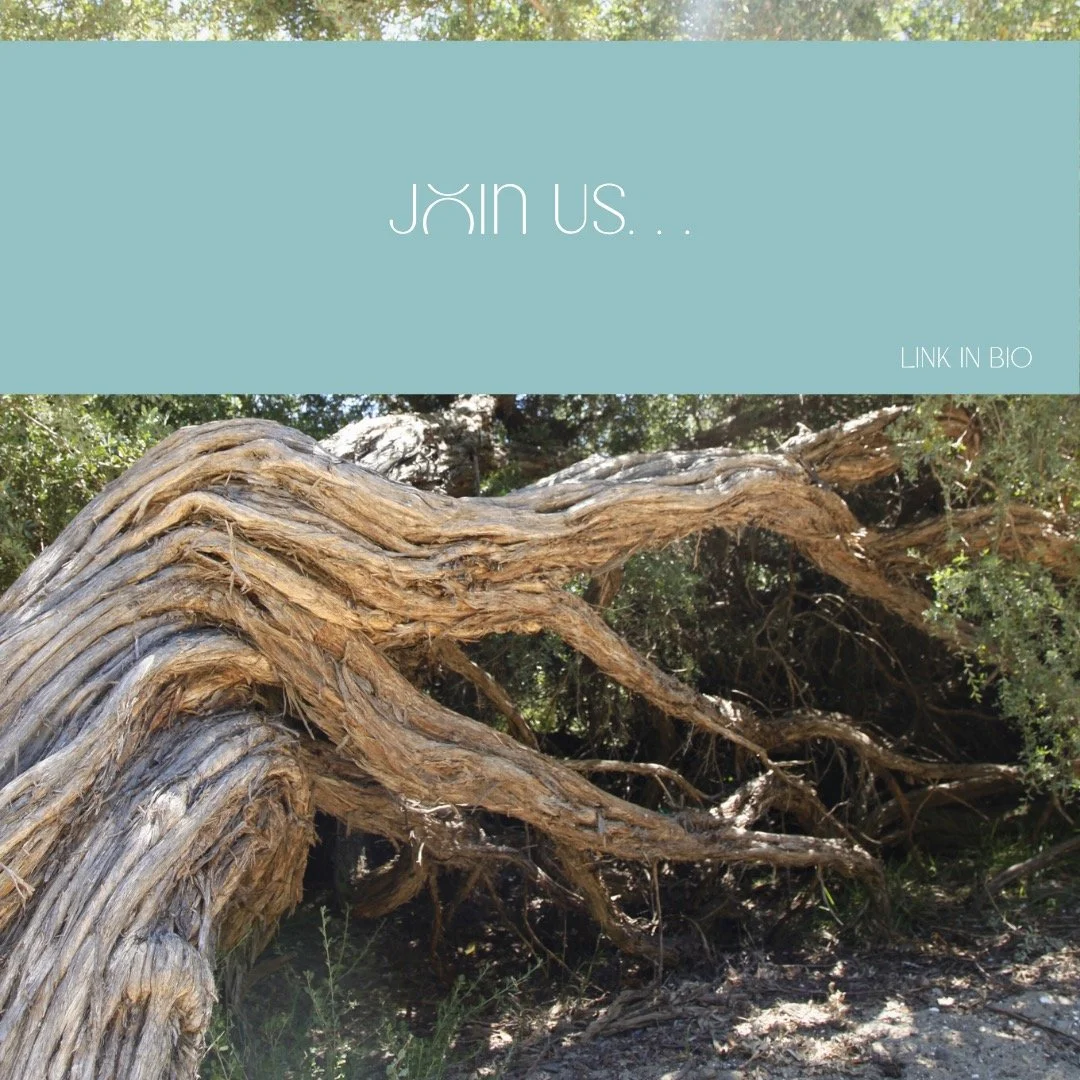 We are really excited to announce a new Professional Development and Mentoring session to be held on BoonWurrung Bunurong Country.

This promises to be a really special day for those who are committed to best practise education and eager to develop t