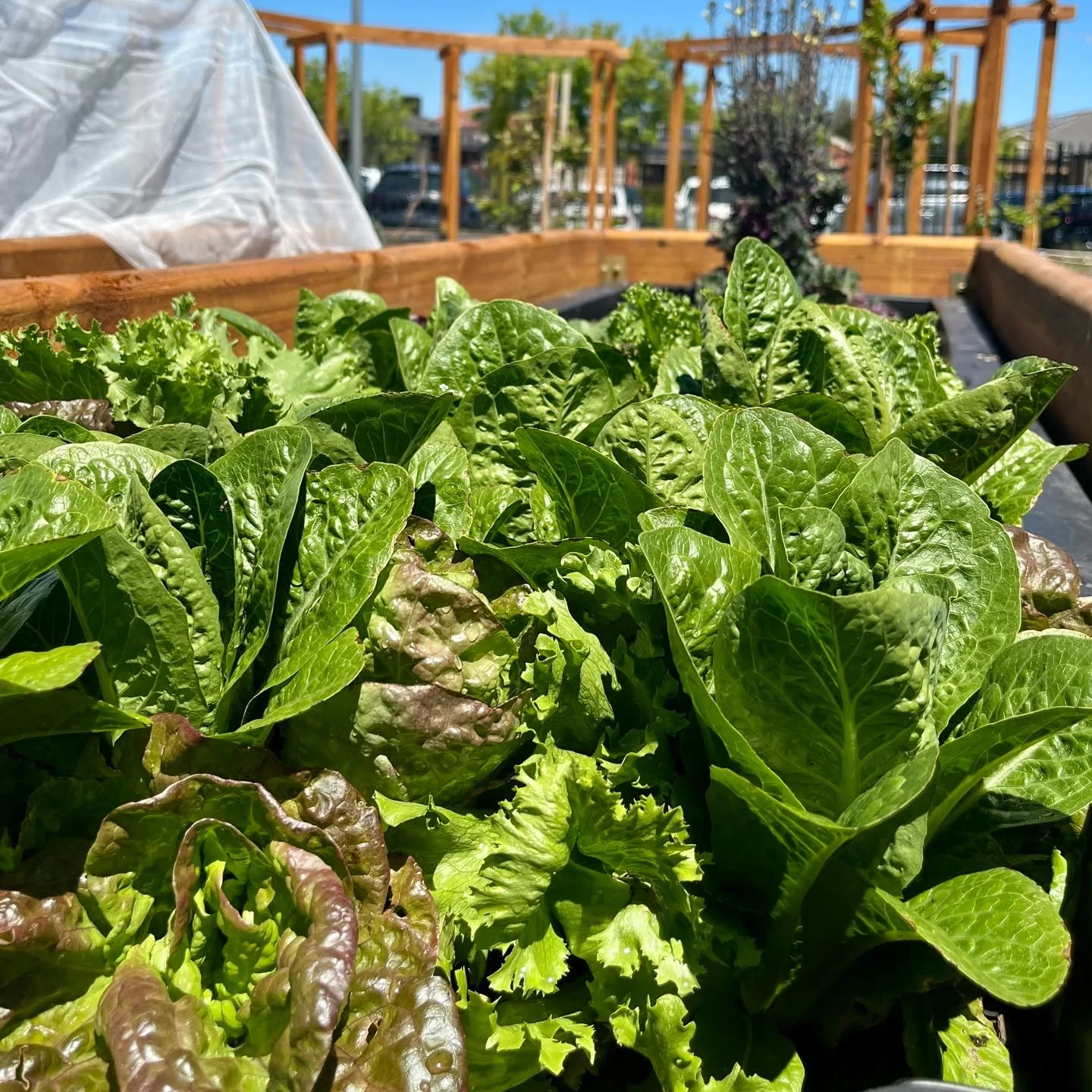 We love hearing from the wonderful education teams we&rsquo;ve worked with... 

&lsquo; I just wanted to send you a pic of the students from yesterday who soaked up the sunshine in the farm. What a glorious day it was!&nbsp;

Congratulations with all