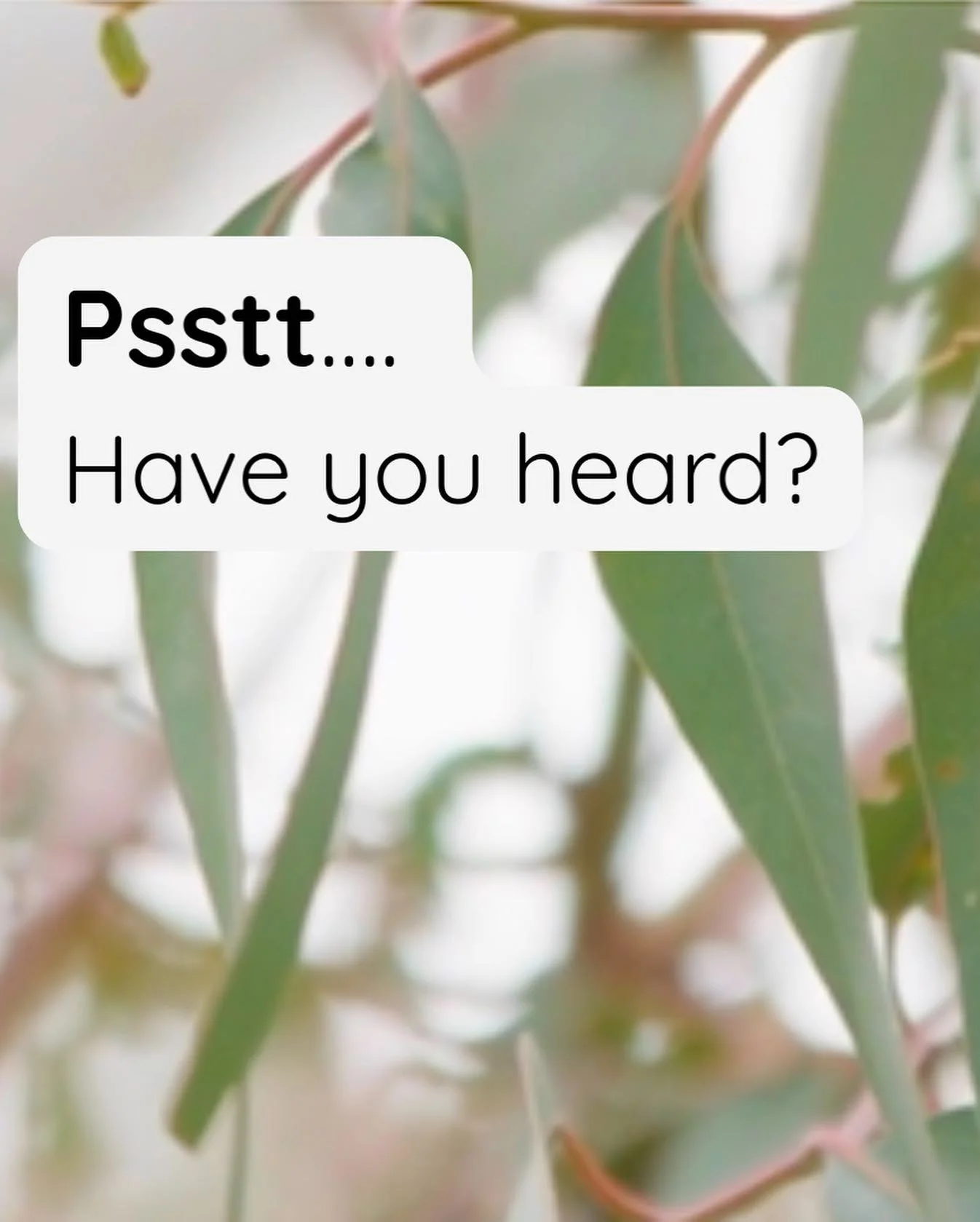 Well, we are thrilled to bits to announce that we have been invited by the Nursery &amp; Garden Industry Victoria and the Victorian Schools Garden Program to create the feature playground experience at the 2026 Melbourne International Flower &amp; Ga