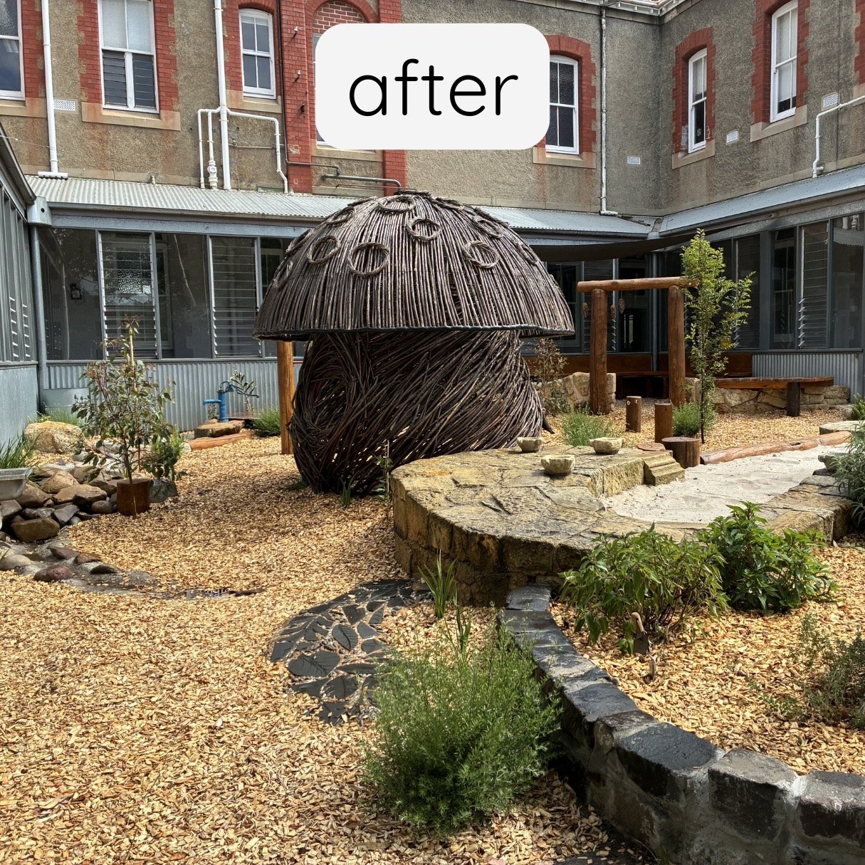 This school community contacted us after the devastating loss of several large, loved trees. 

Their playground, previously filled with the sounds, sights, smells and textures of canopy, now felt heavy and lifeless. 

This courtyard playground alread