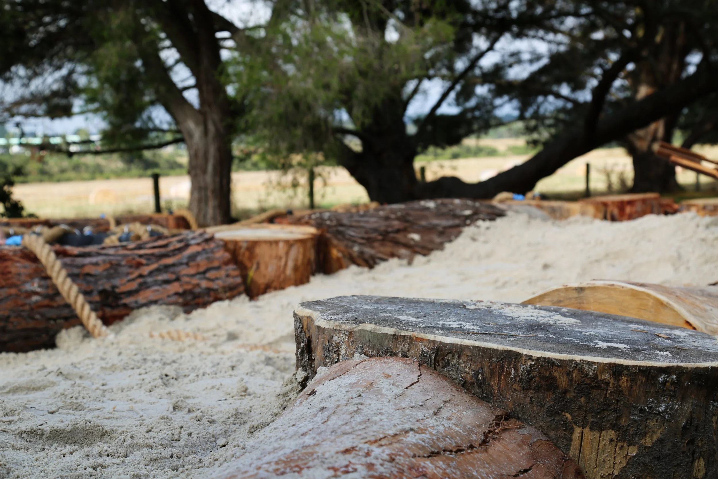 SAGES urban discovery playground.jpg