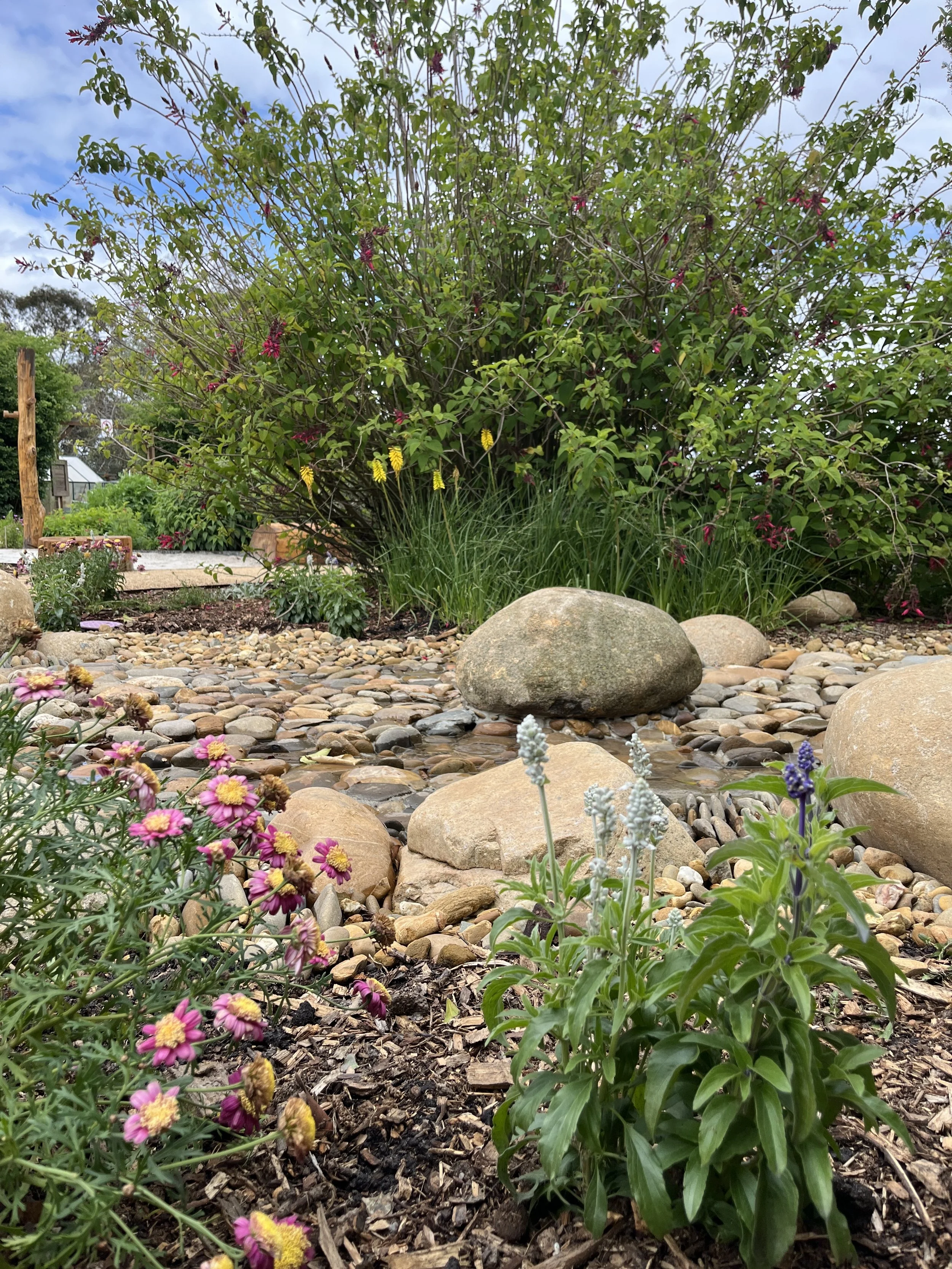 Sensory Garden 6.JPG