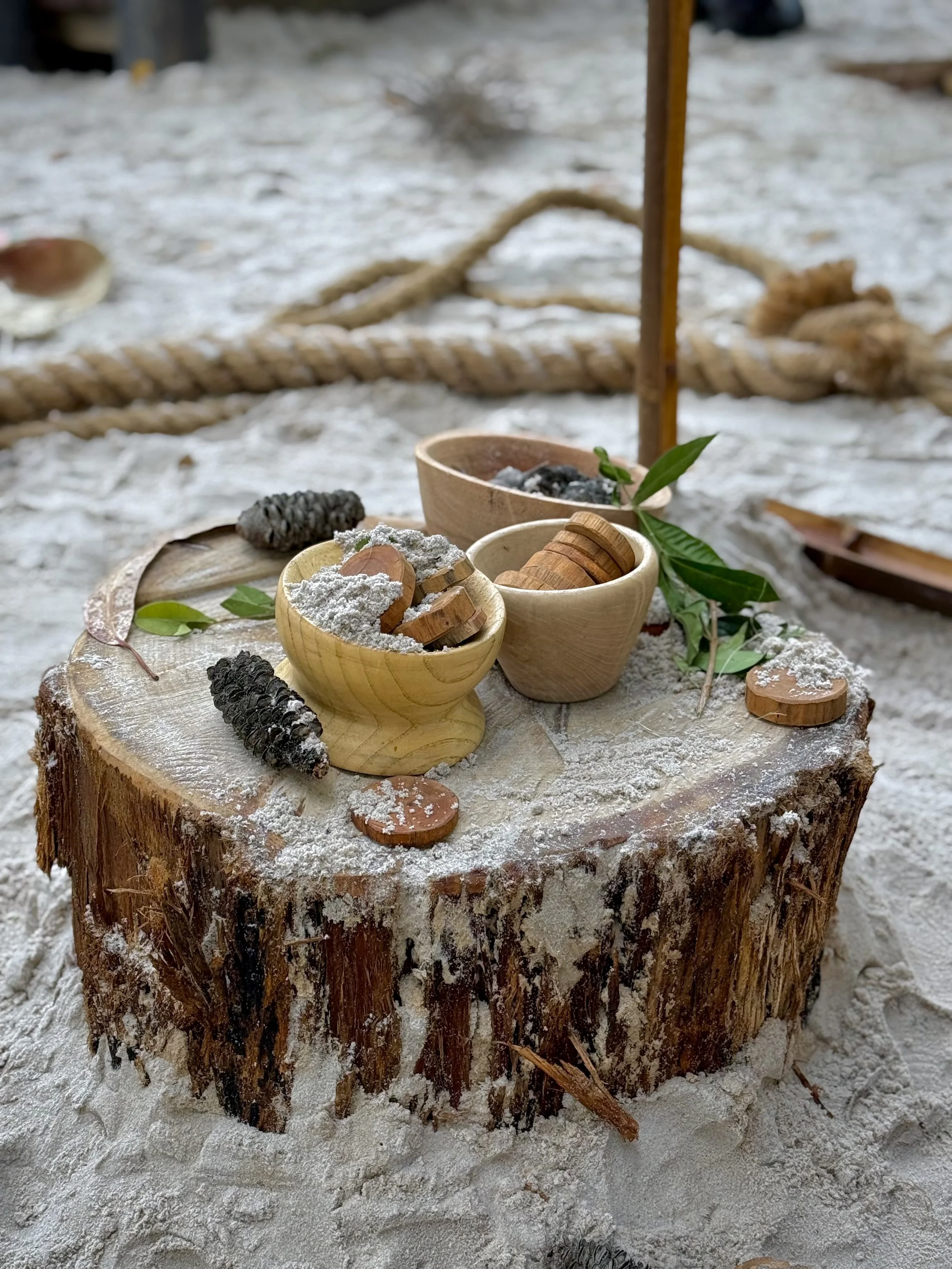 nature tea party.jpeg