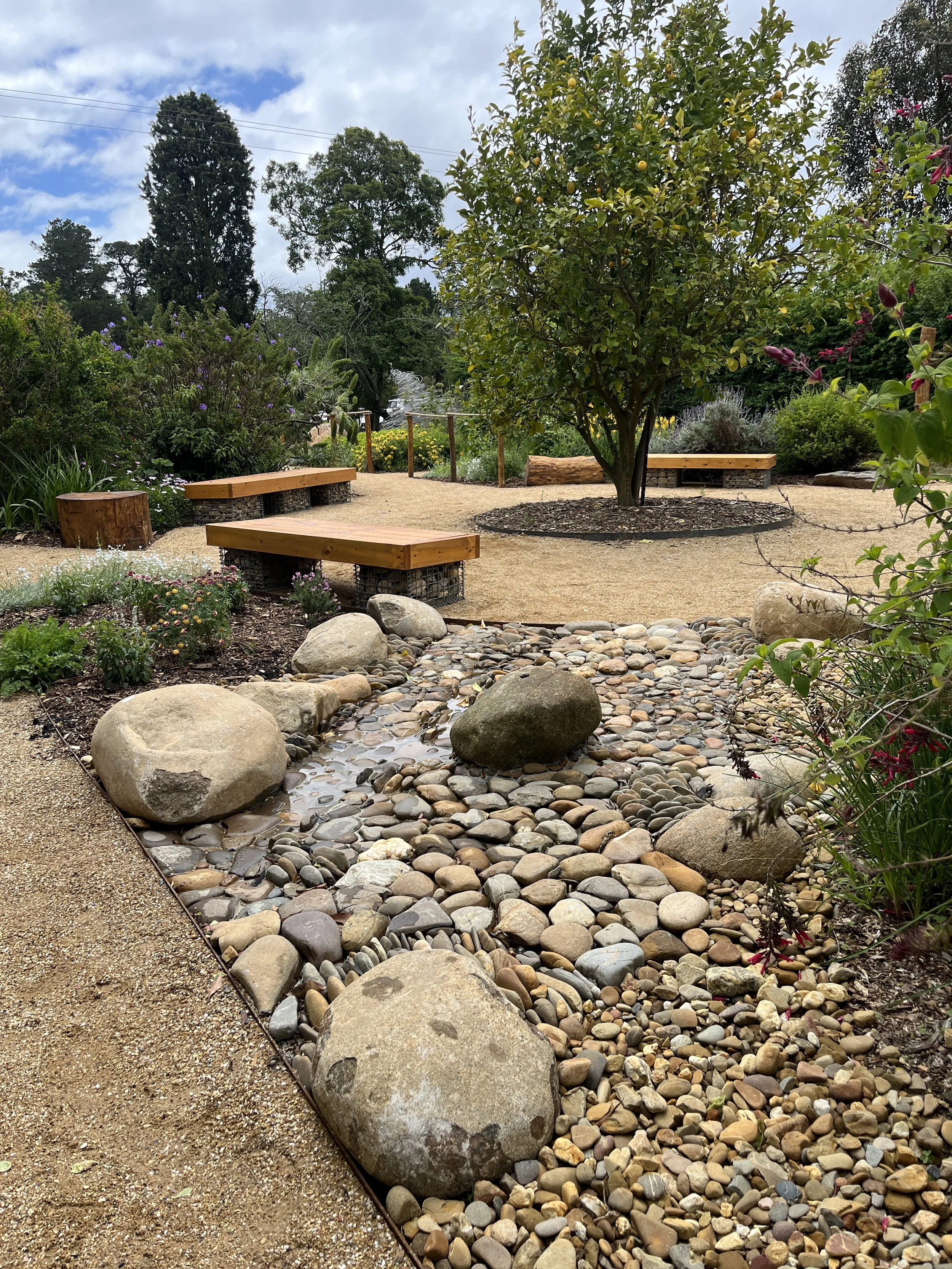Sensory Garden 7.JPG