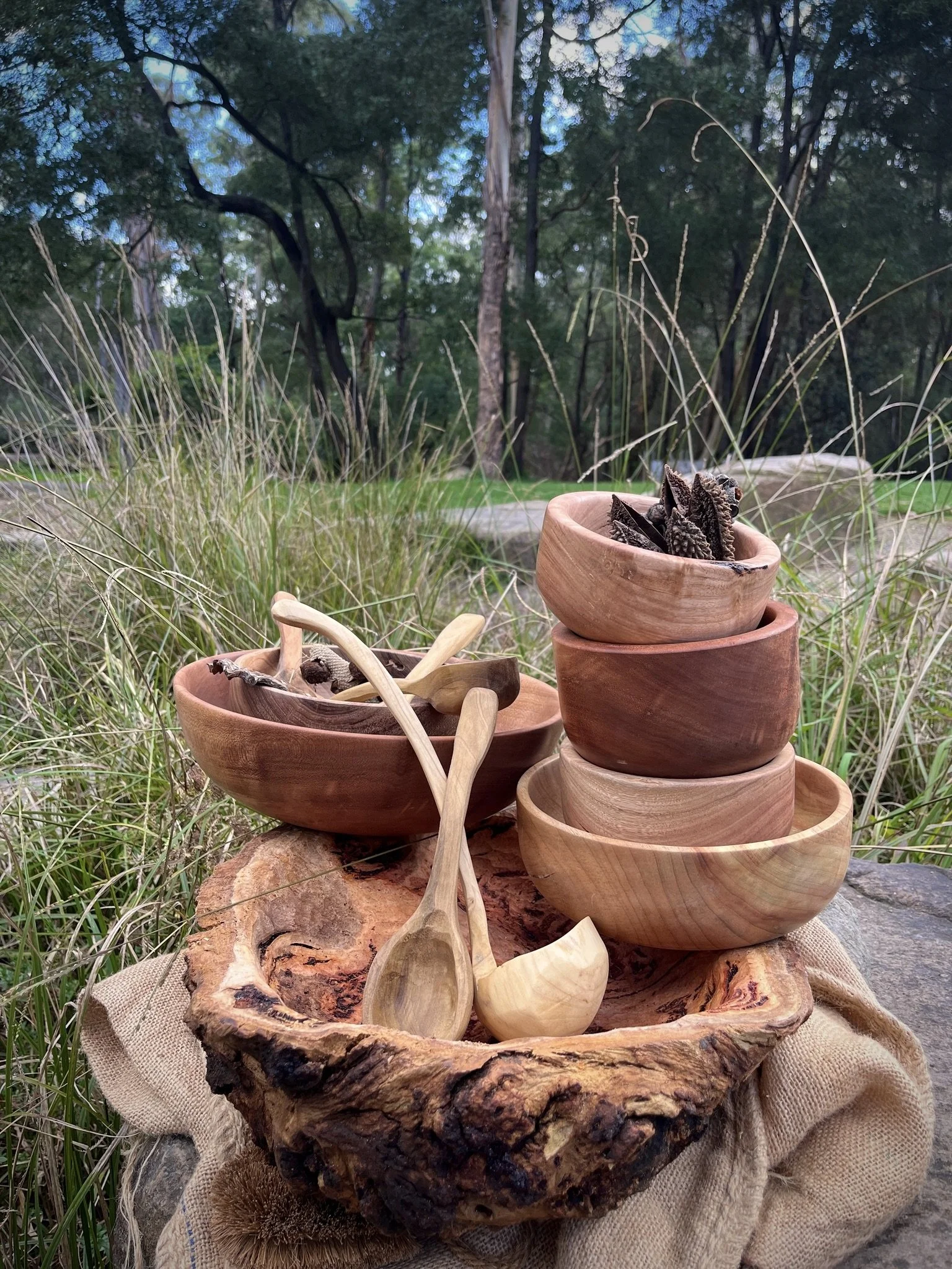 timber toys.JPG
