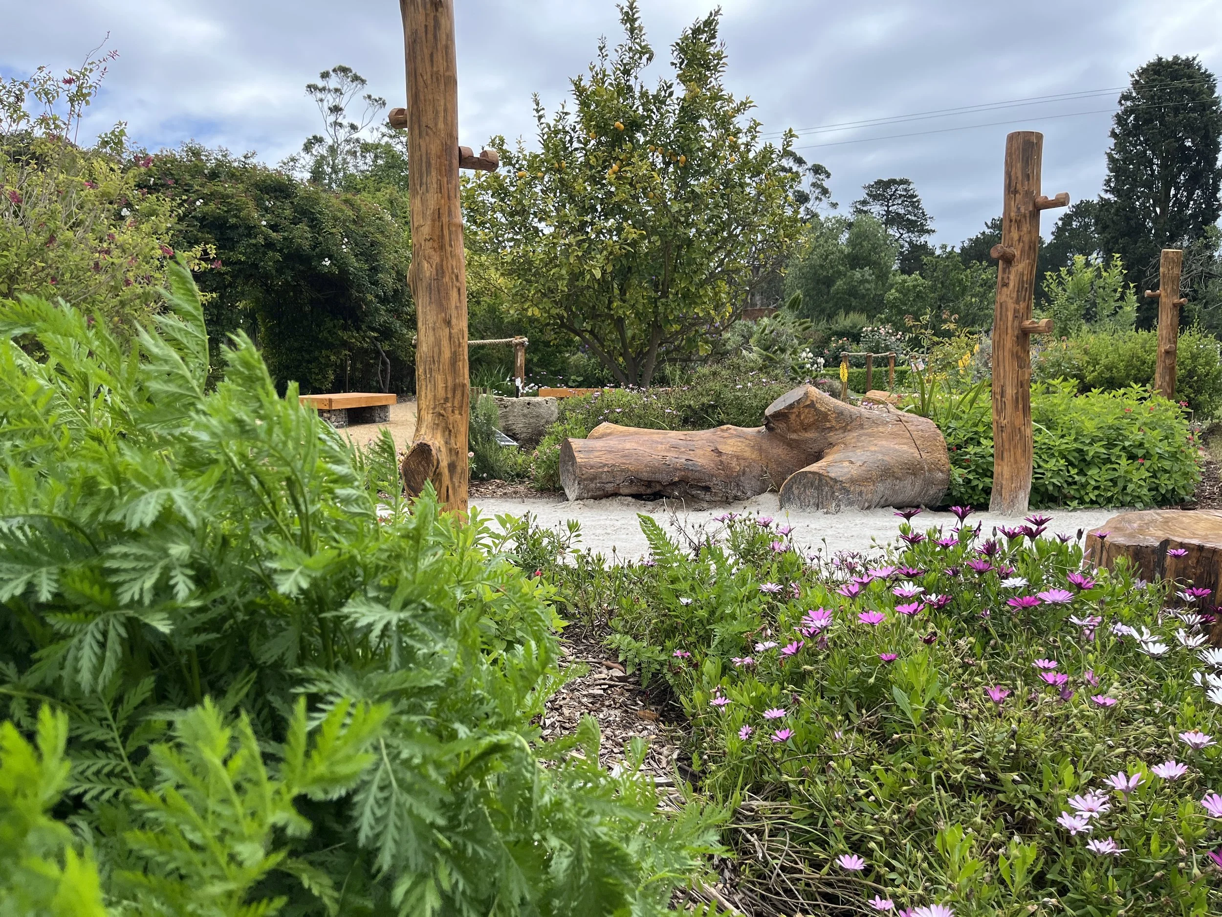 Sensory Garden 4.JPG
