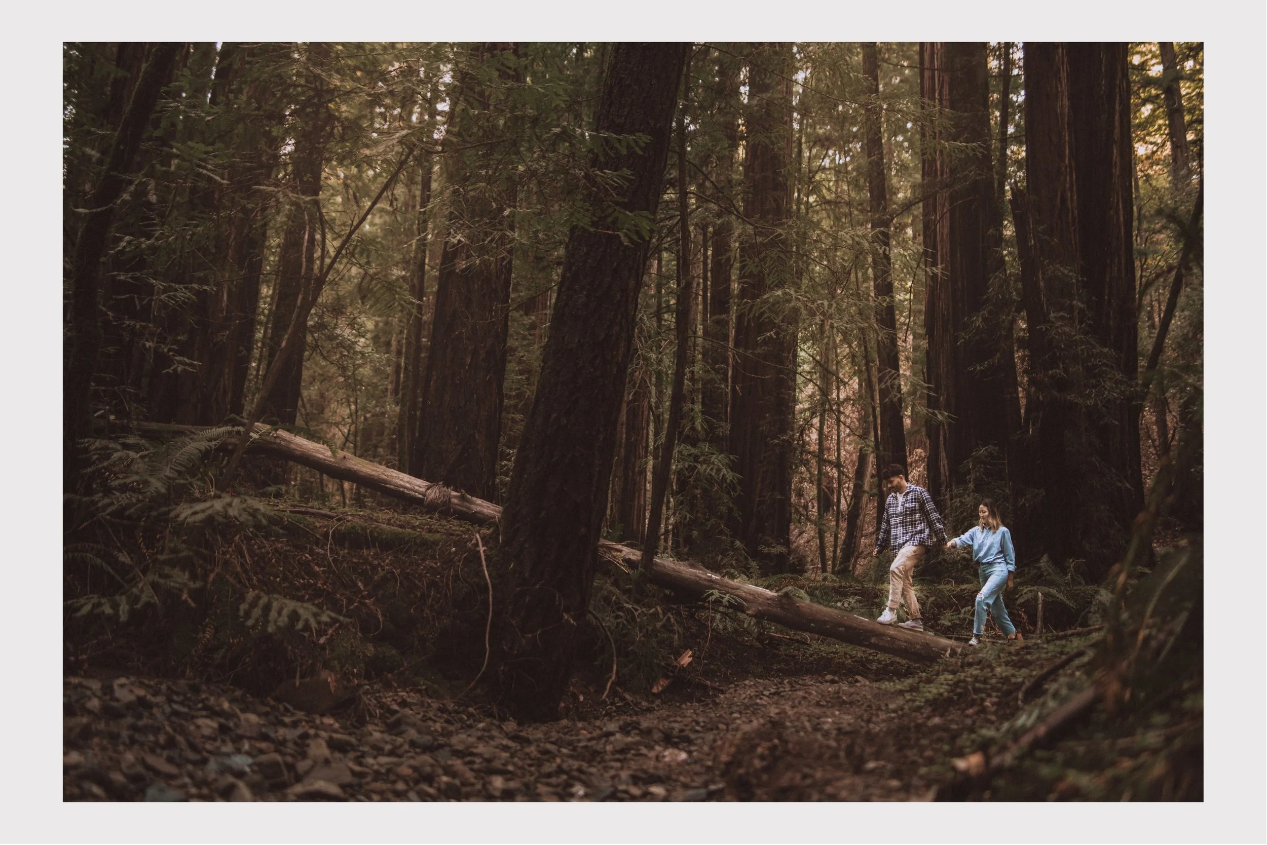 02_Bay Area Wedding Photographer.jpg
