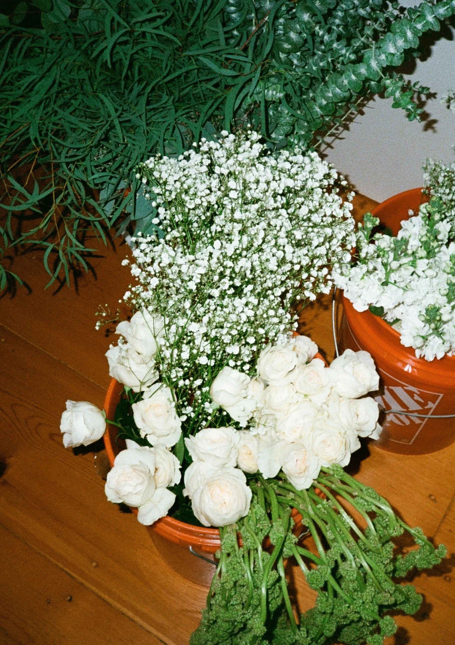 how to plan a backyard wedding on a budget