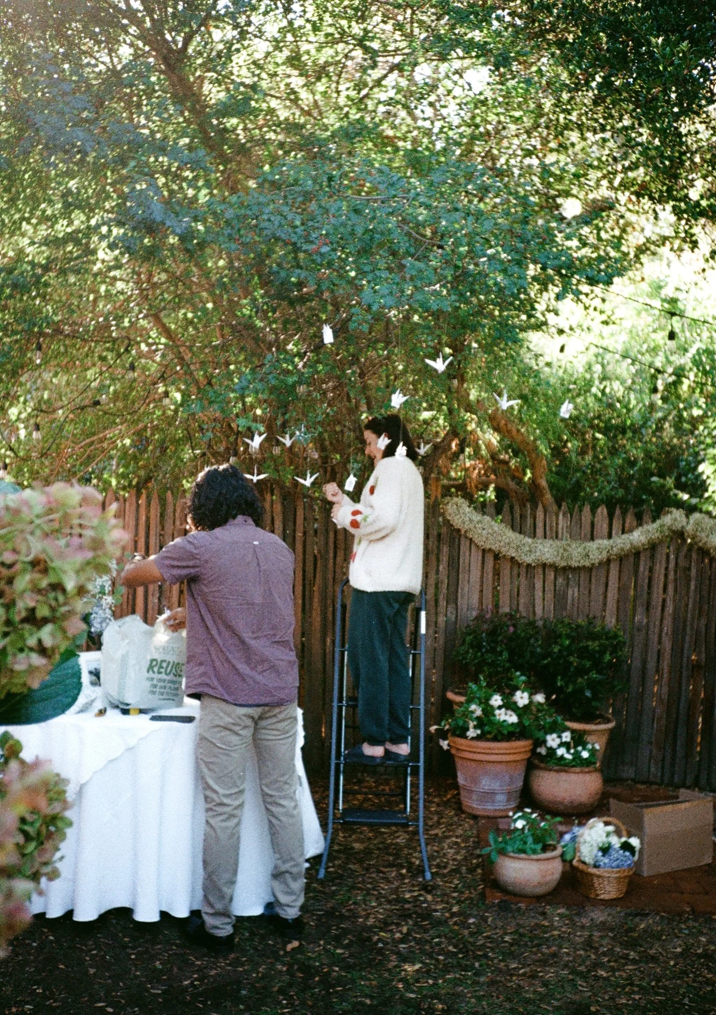 how to plan a backyard wedding on a budget