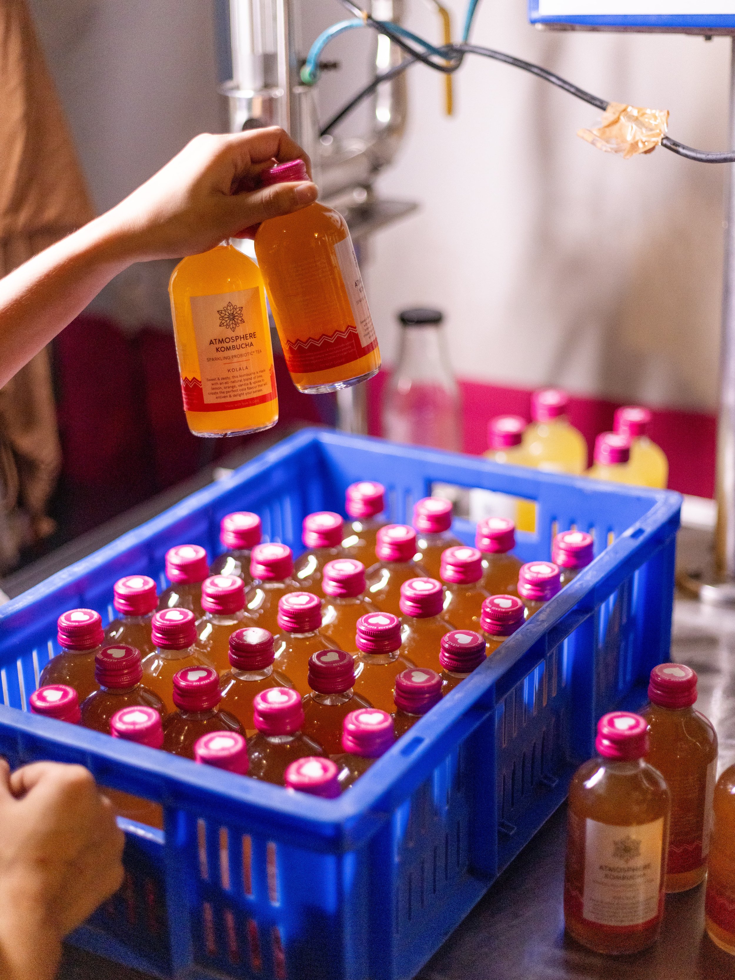 Global Events and a Small Kombucha Company