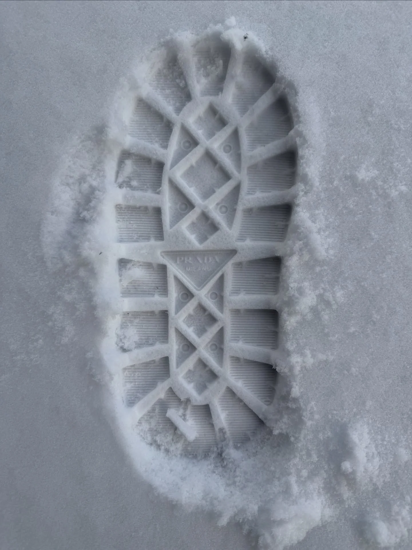 emilyabbegayl_1768172002_3808025213251275148_7298657 (1).jpg