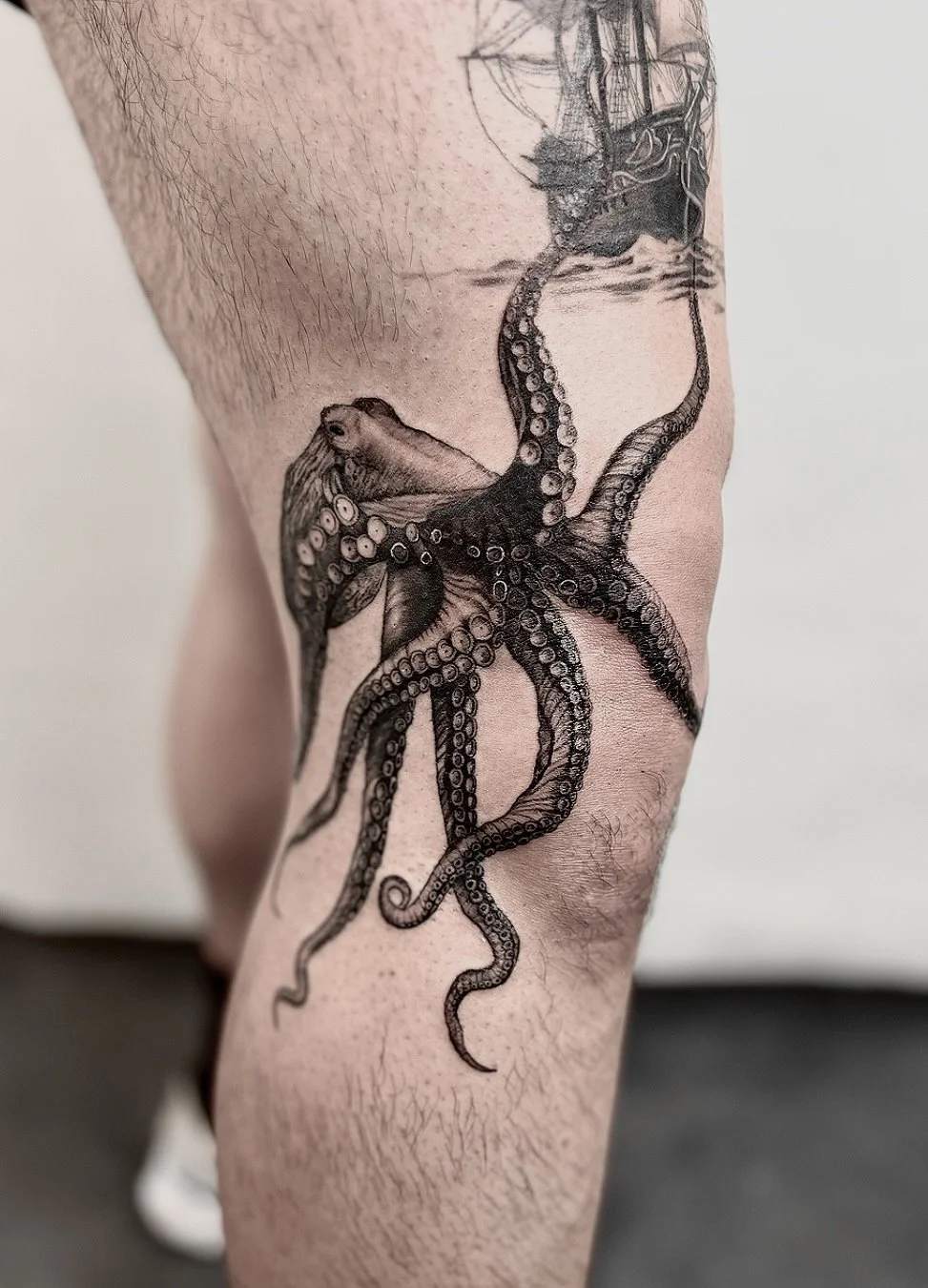 Octopus.jpeg