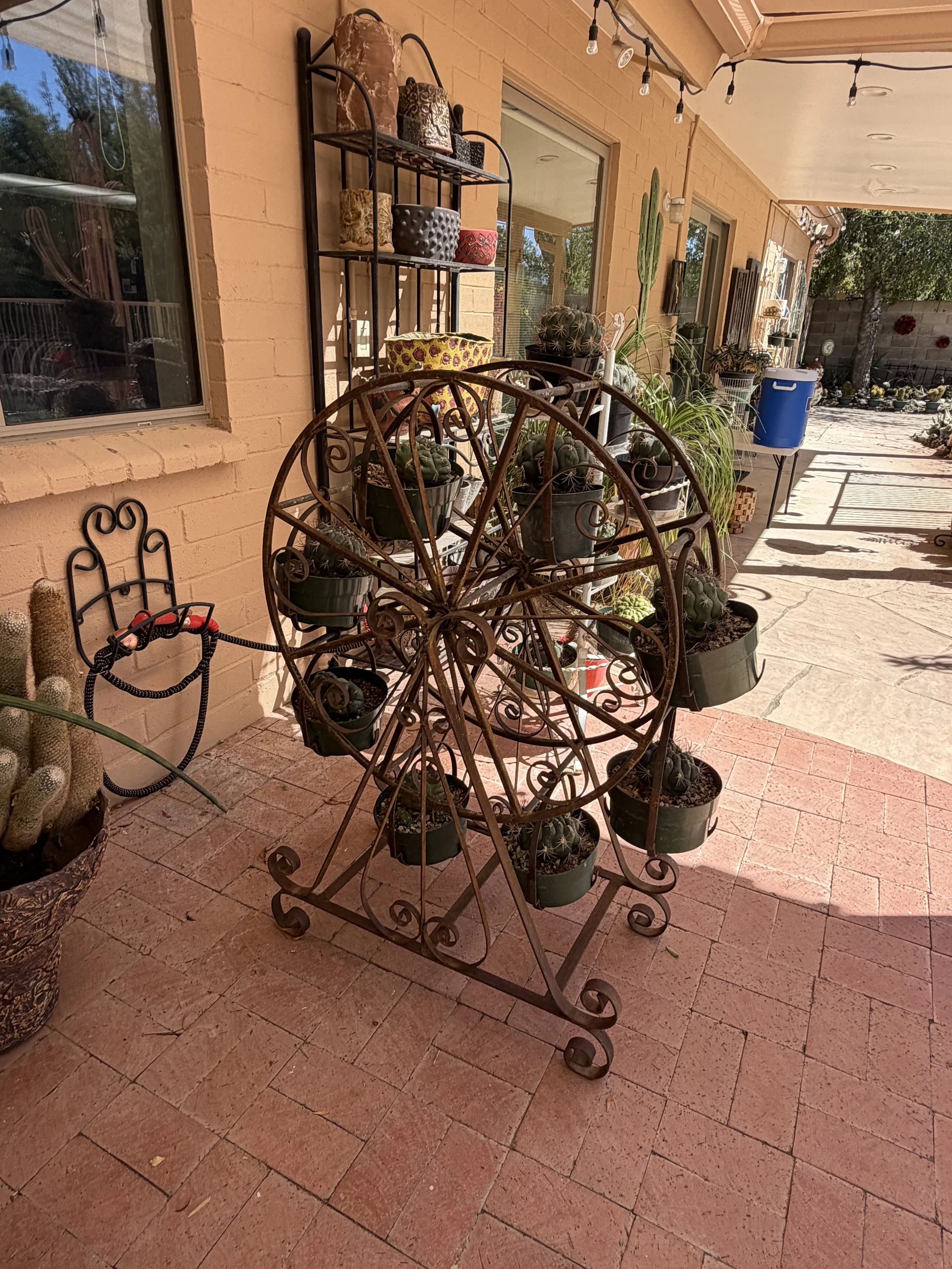 IMG_5489.jpeg
