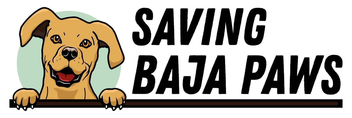 Saving Baja Paws