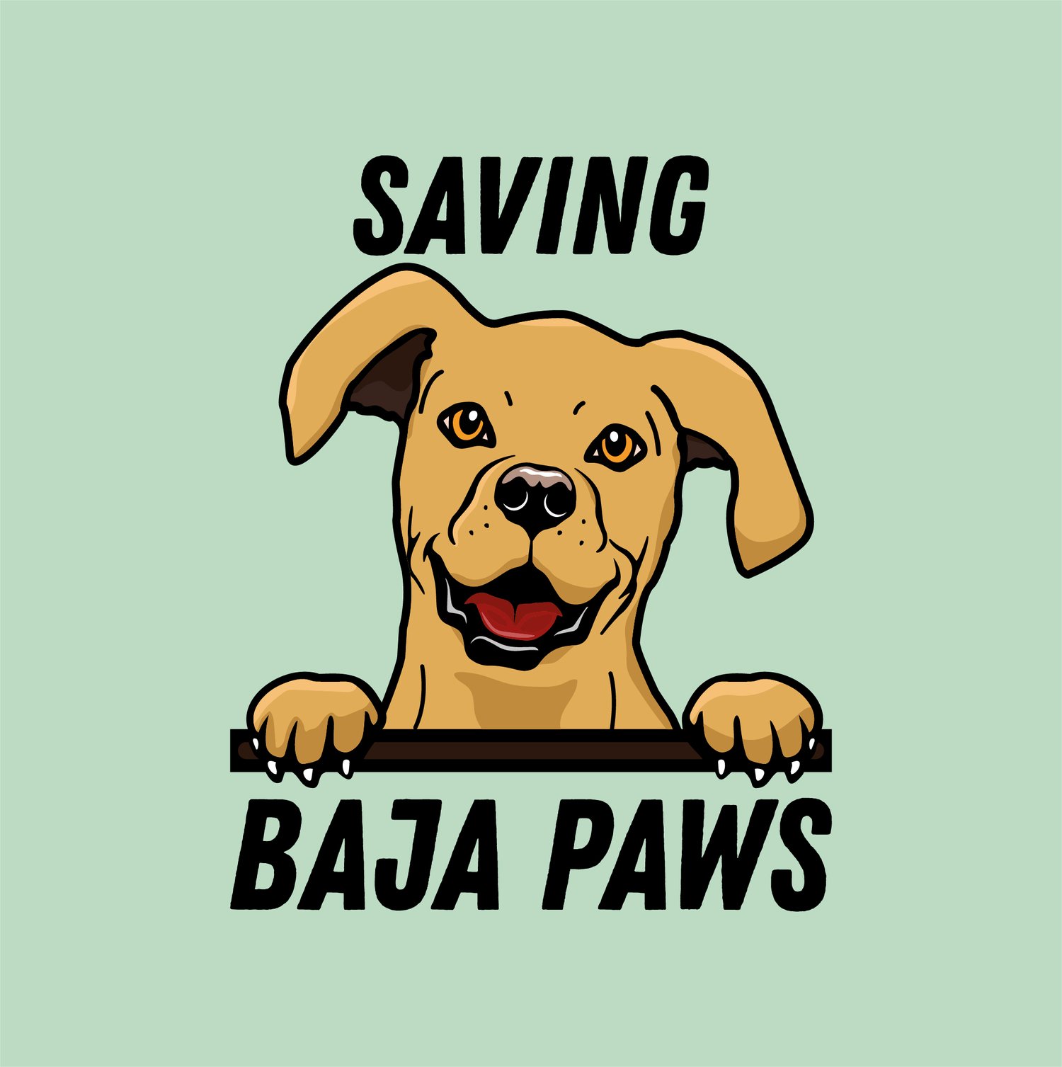 Saving Baja Paws