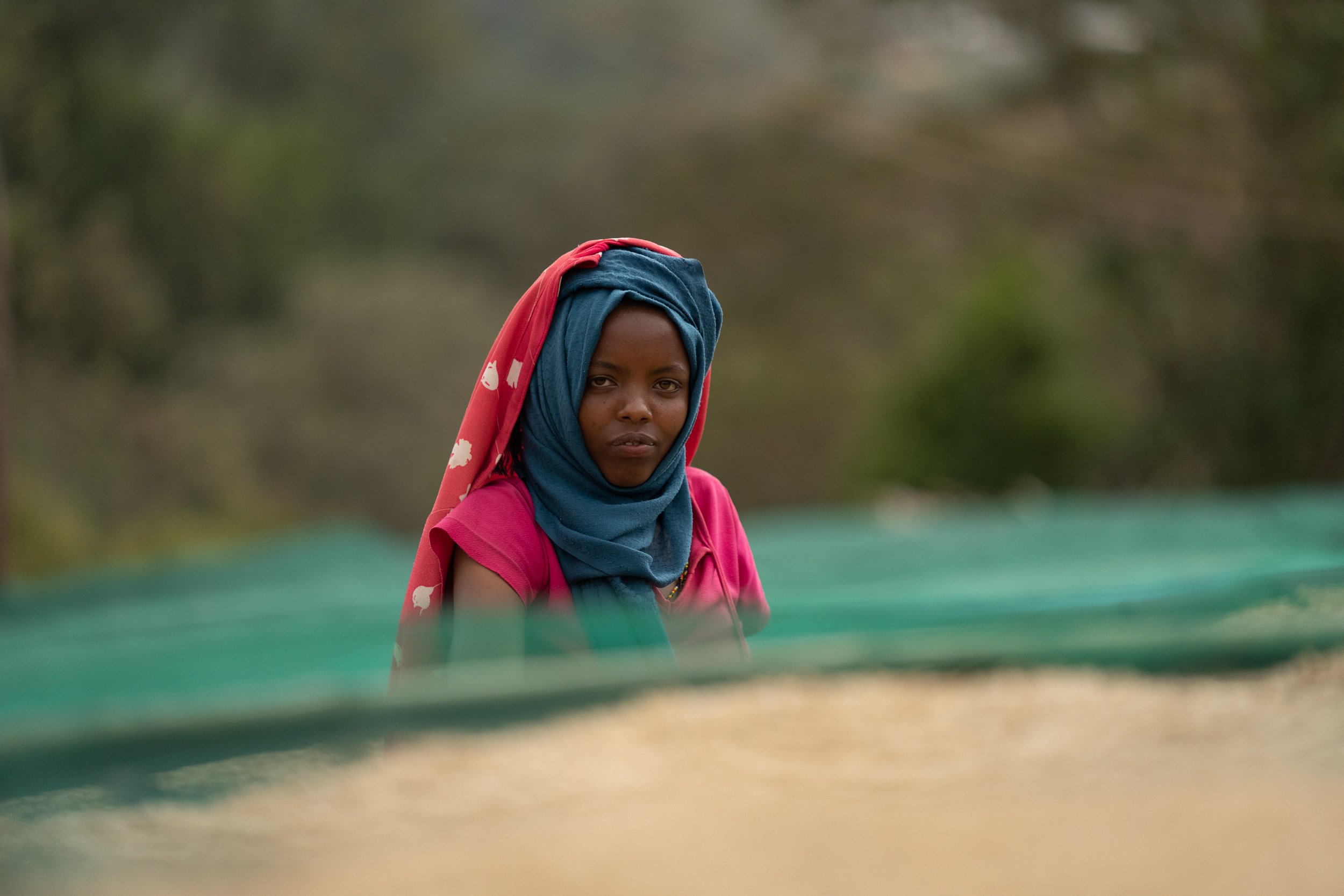 Africa - Web-101.jpg