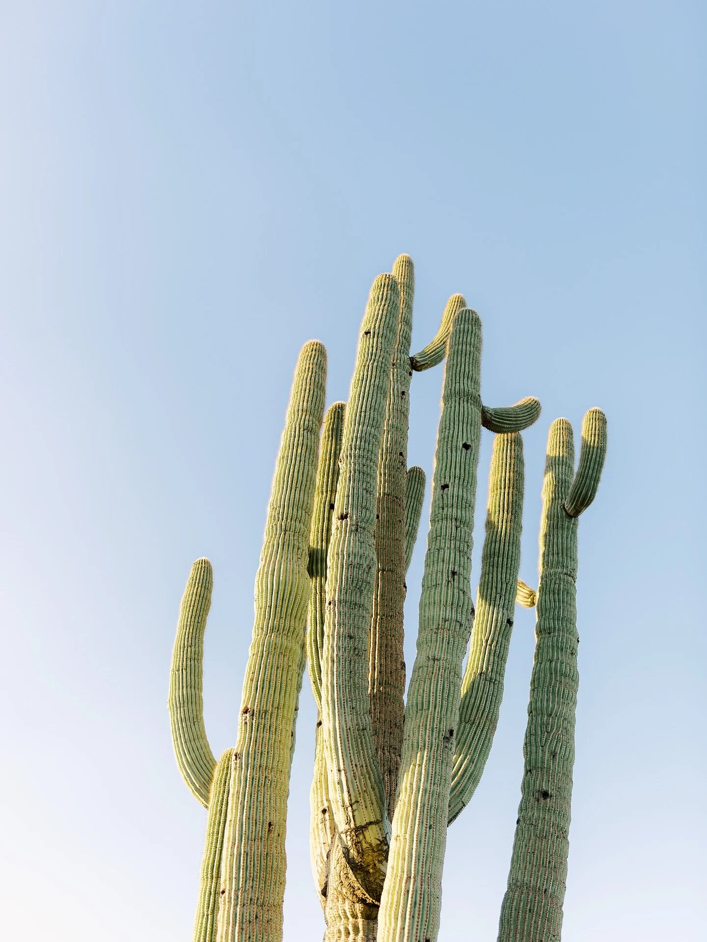 Just a sky photo. With a cactus. No reason. I just love taking photos of the sky which I honestly didn&rsquo;t realize until someone told me how much they love the sky photos I share on my stories. Thank you for noticing 🫶🏼