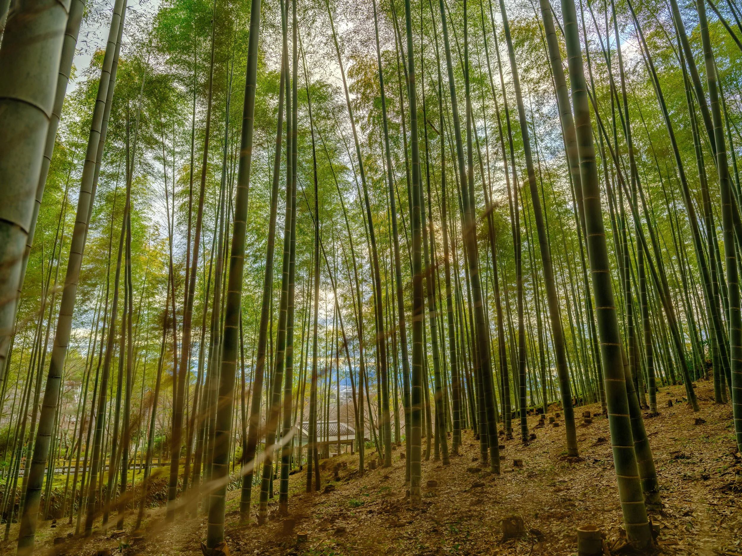 _DSF1314-HDR - Copy - Copy.jpg