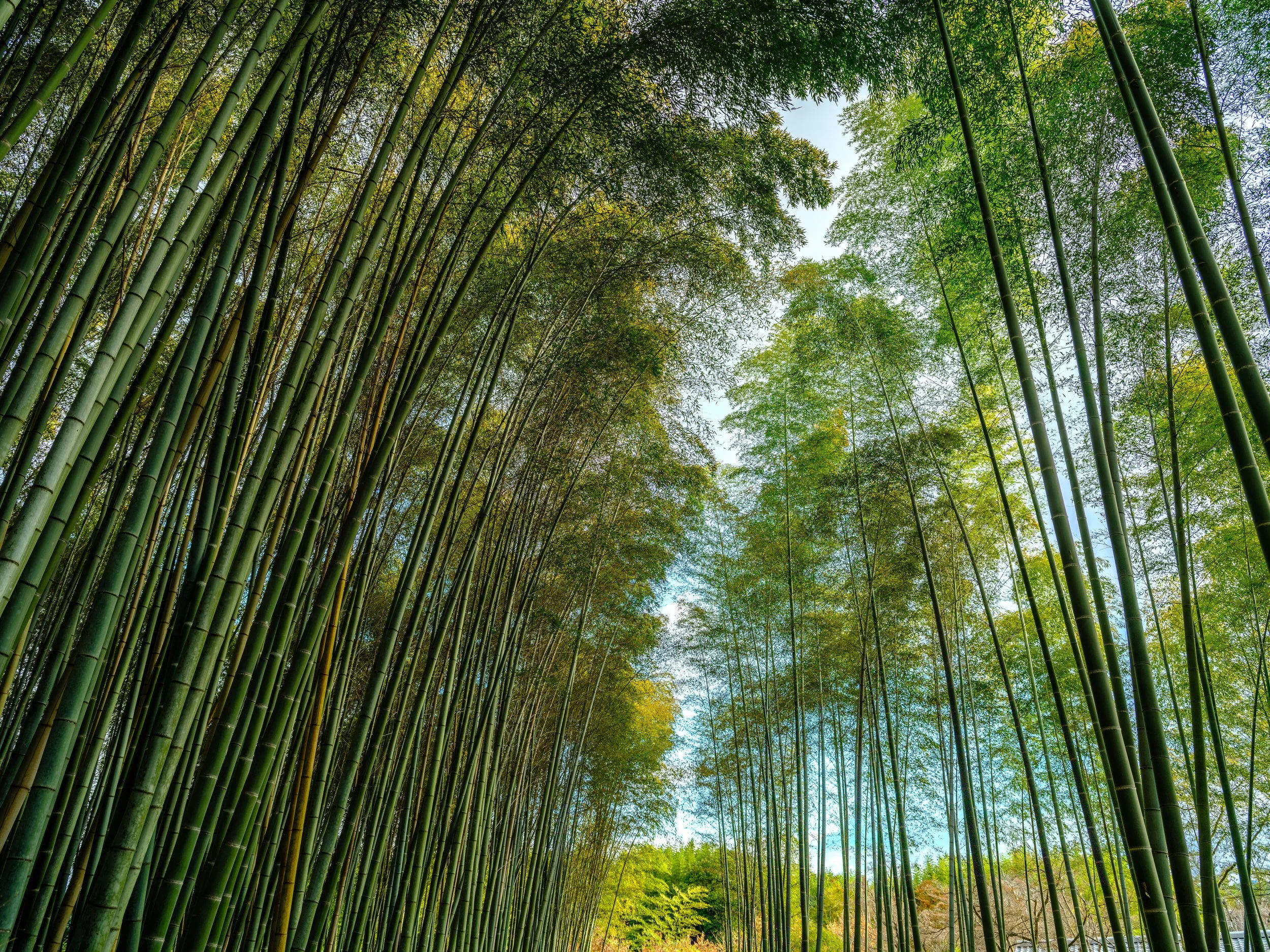 _DSF1333-HDR - Copy - Copy.jpg