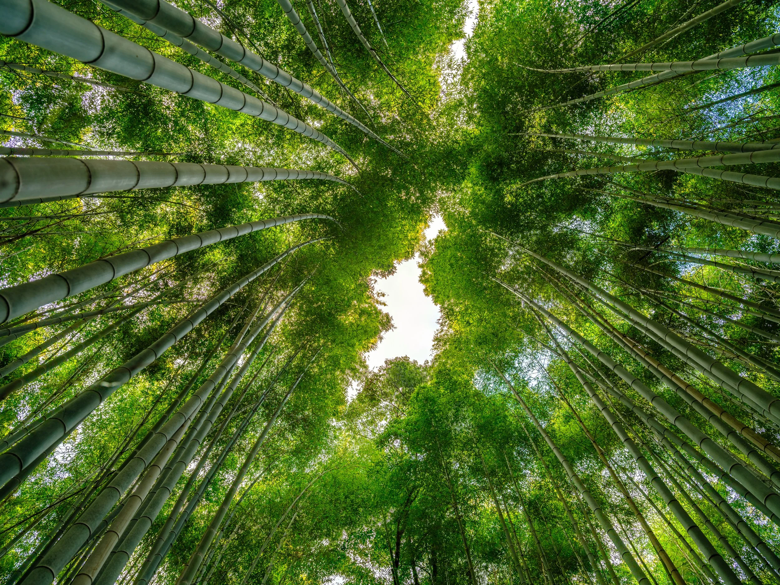 _DSF1278-HDR - Copy.jpg