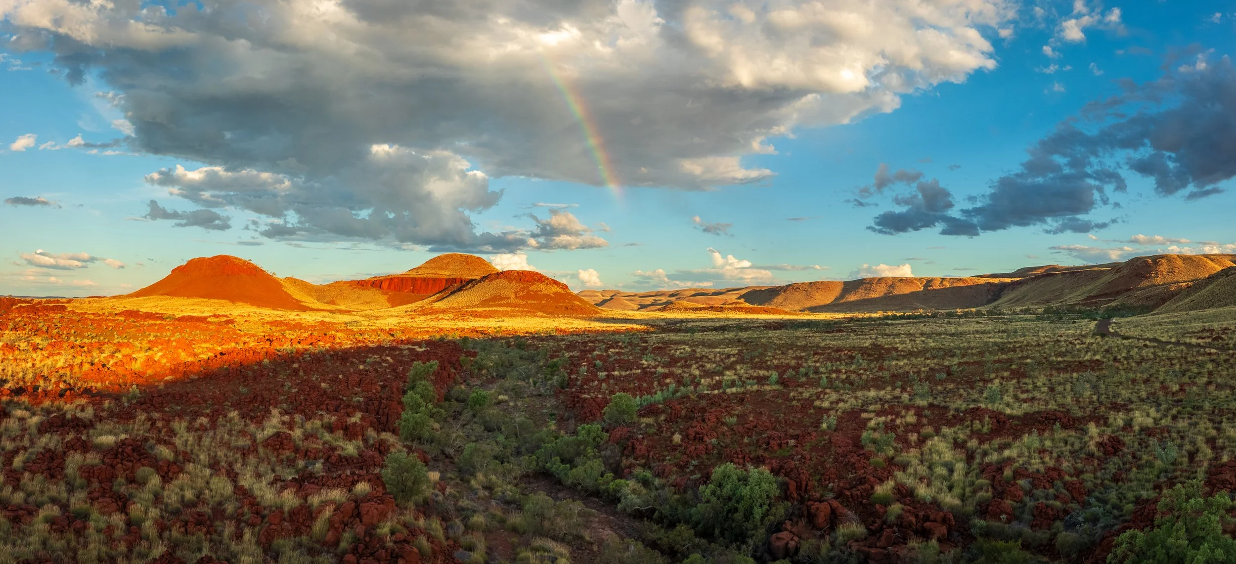 DJI_0441-HDR-Pano email footer-2.jpg