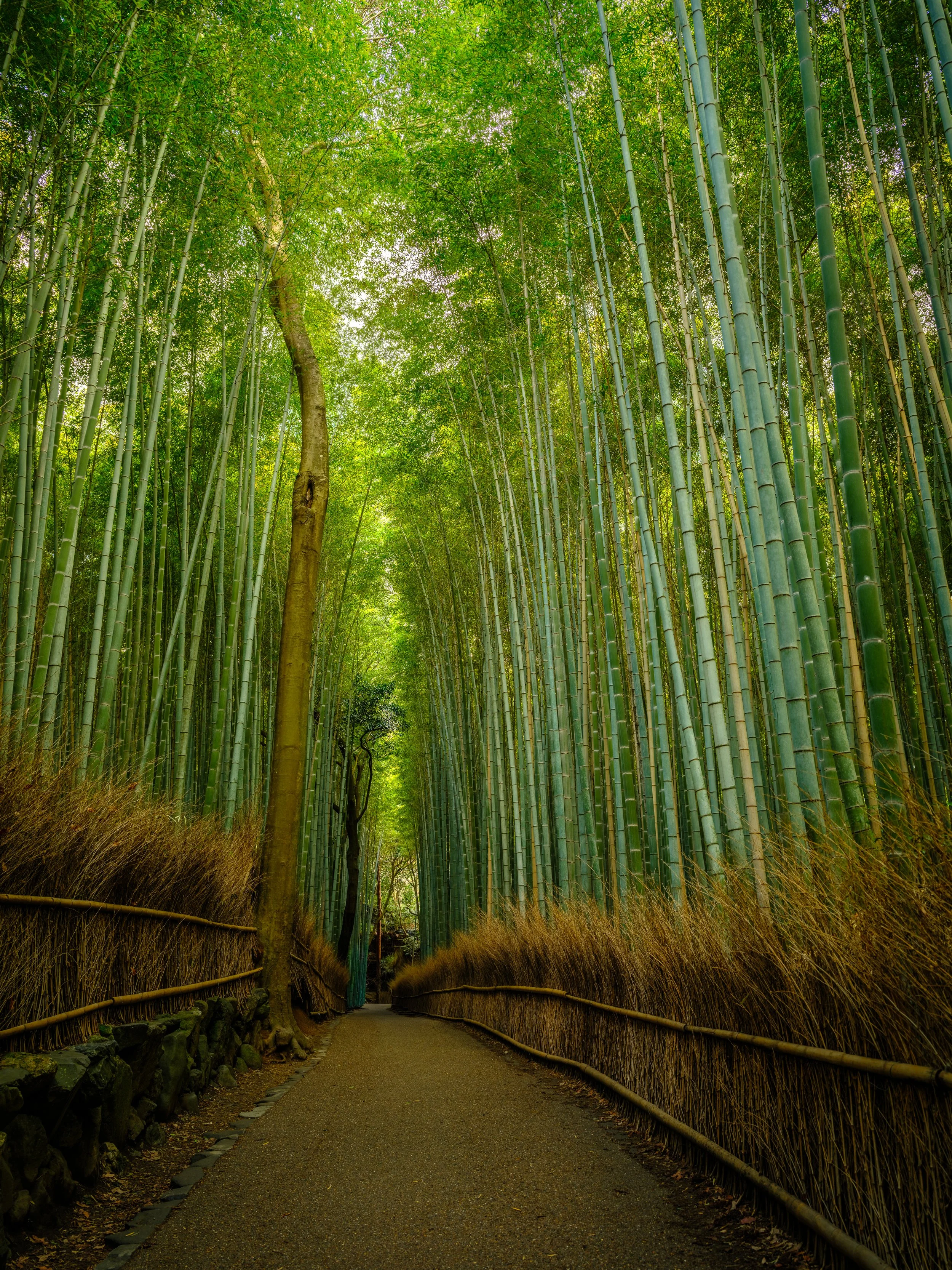 _DSF1137-HDR - Copy.jpg