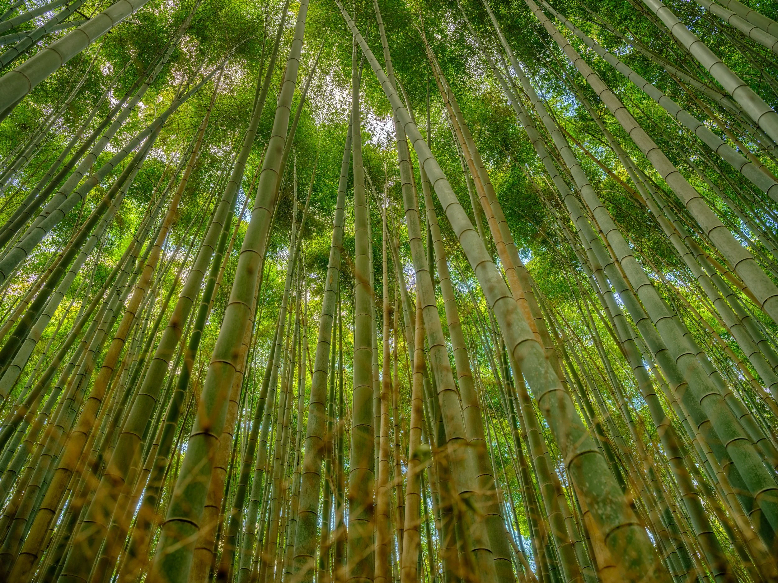 _DSF1182-HDR - Copy.jpg