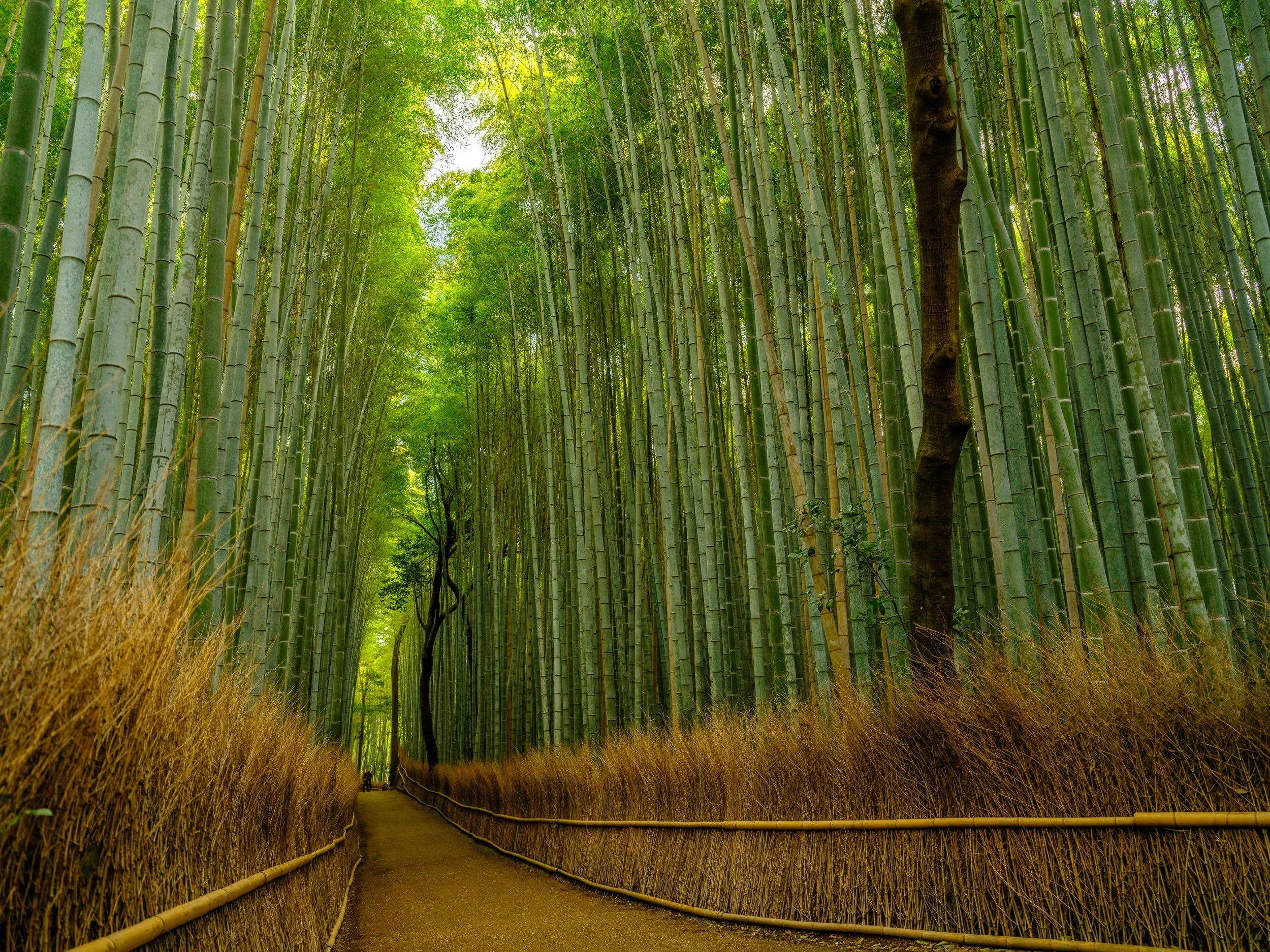 _DSF1263-HDR - Copy.jpg