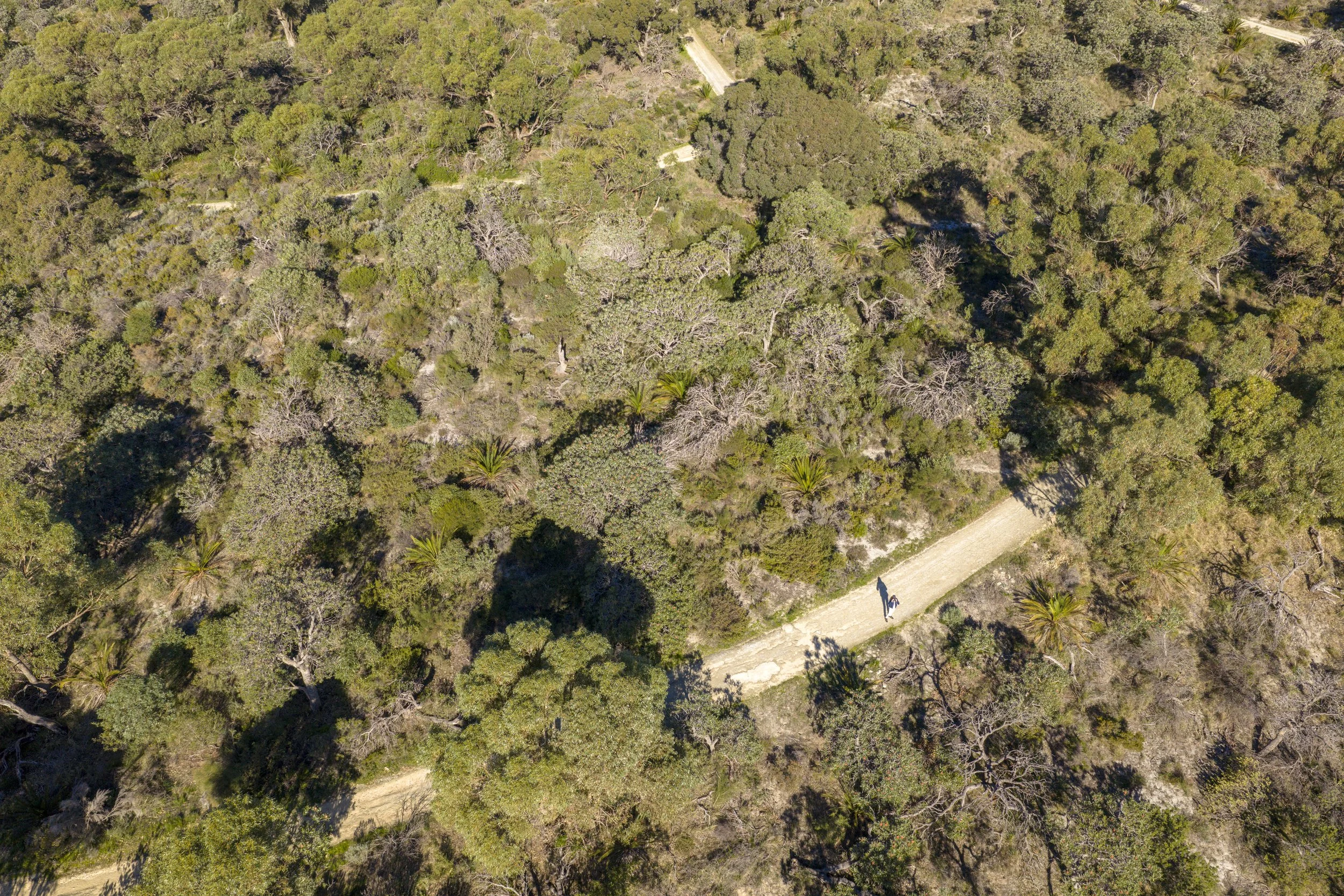 DJI_20260617140004_0009_D.jpg