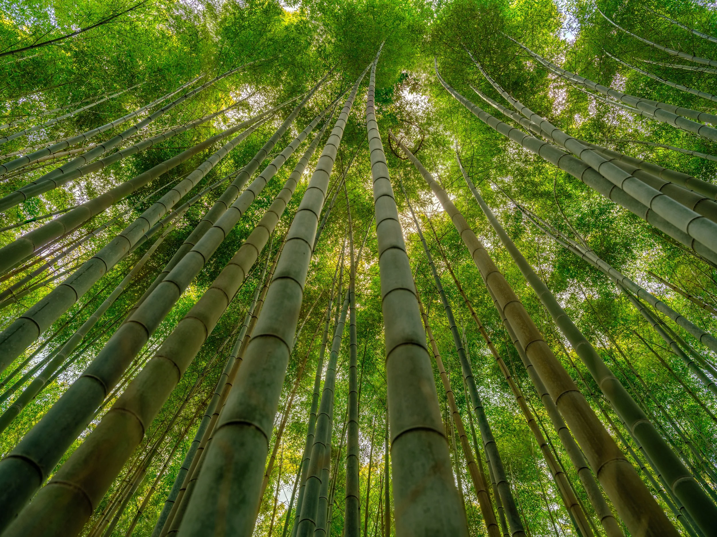 _DSF1191-HDR - Copy.jpg