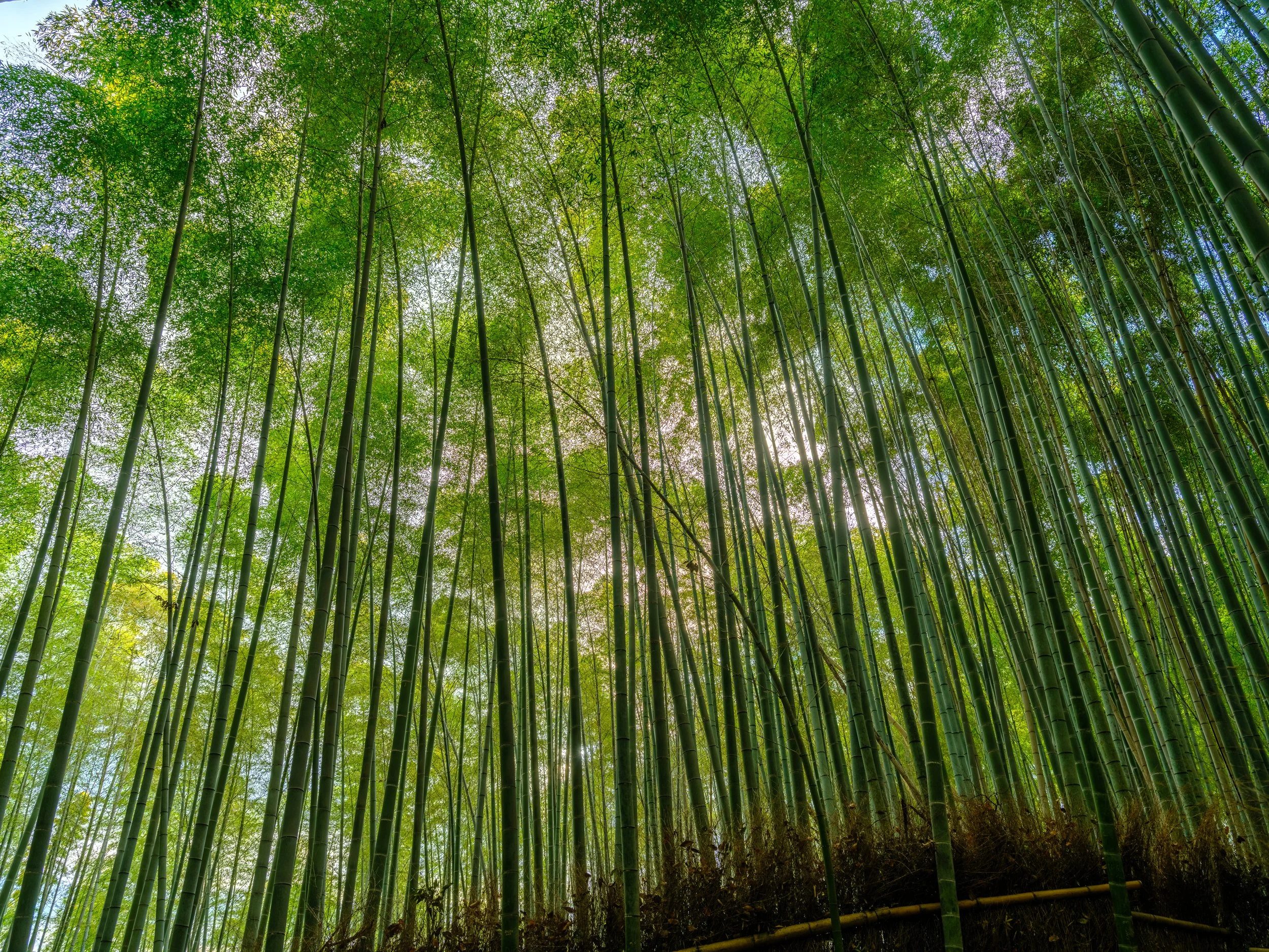 _DSF1305-HDR - Copy.jpg