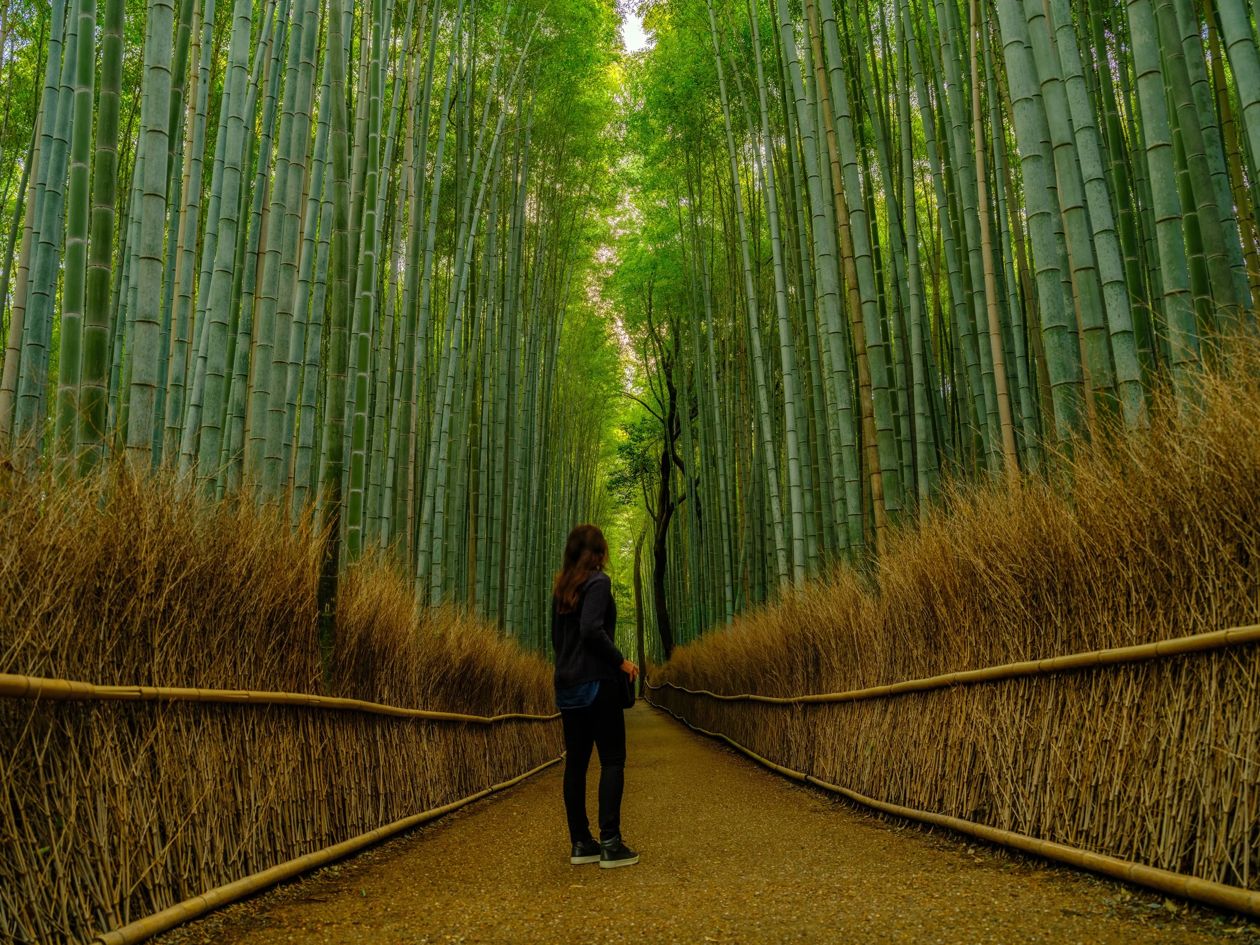 _DSF1194-HDR - Copy.jpg