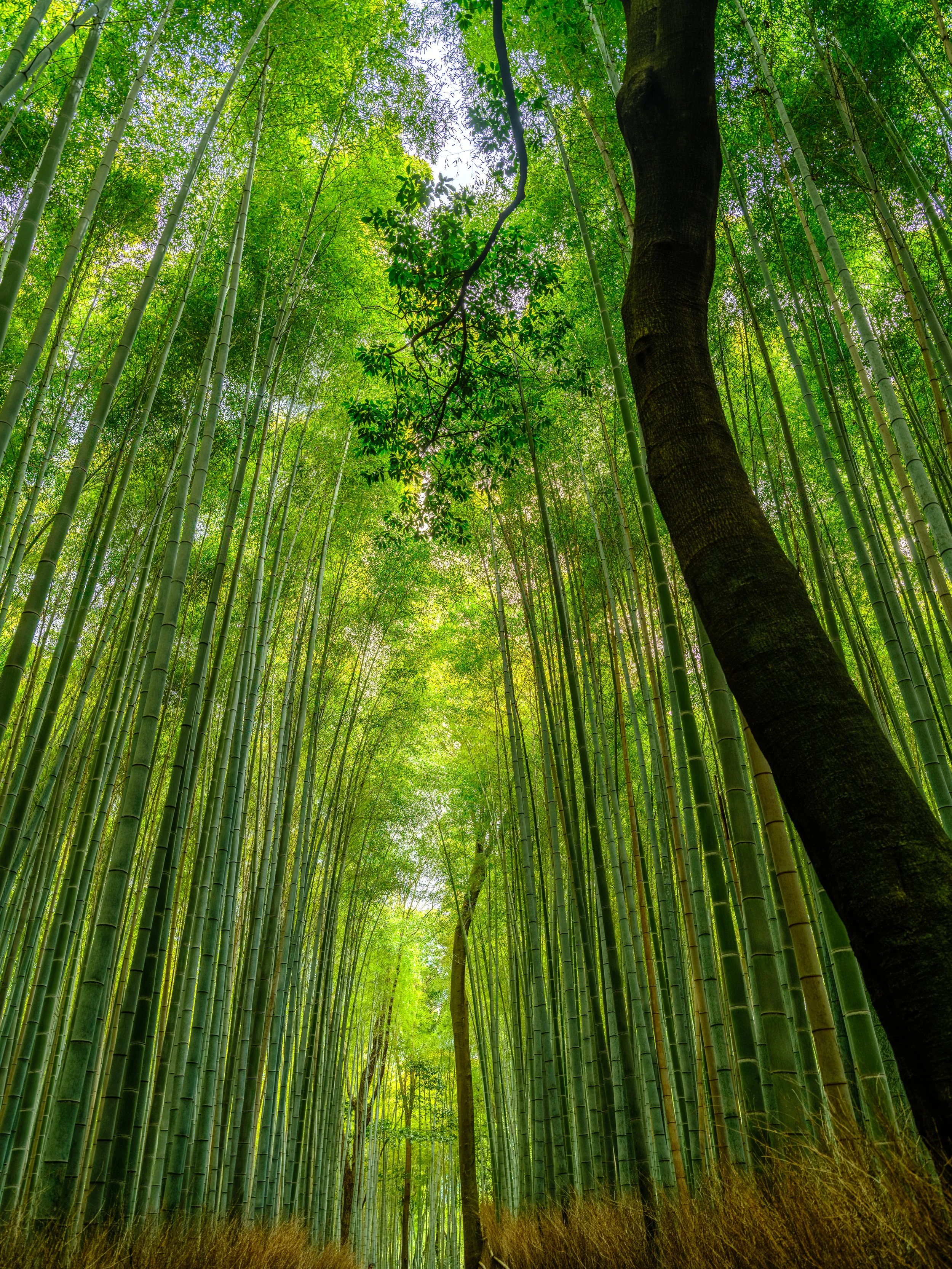 _DSF1299-HDR - Copy.jpg