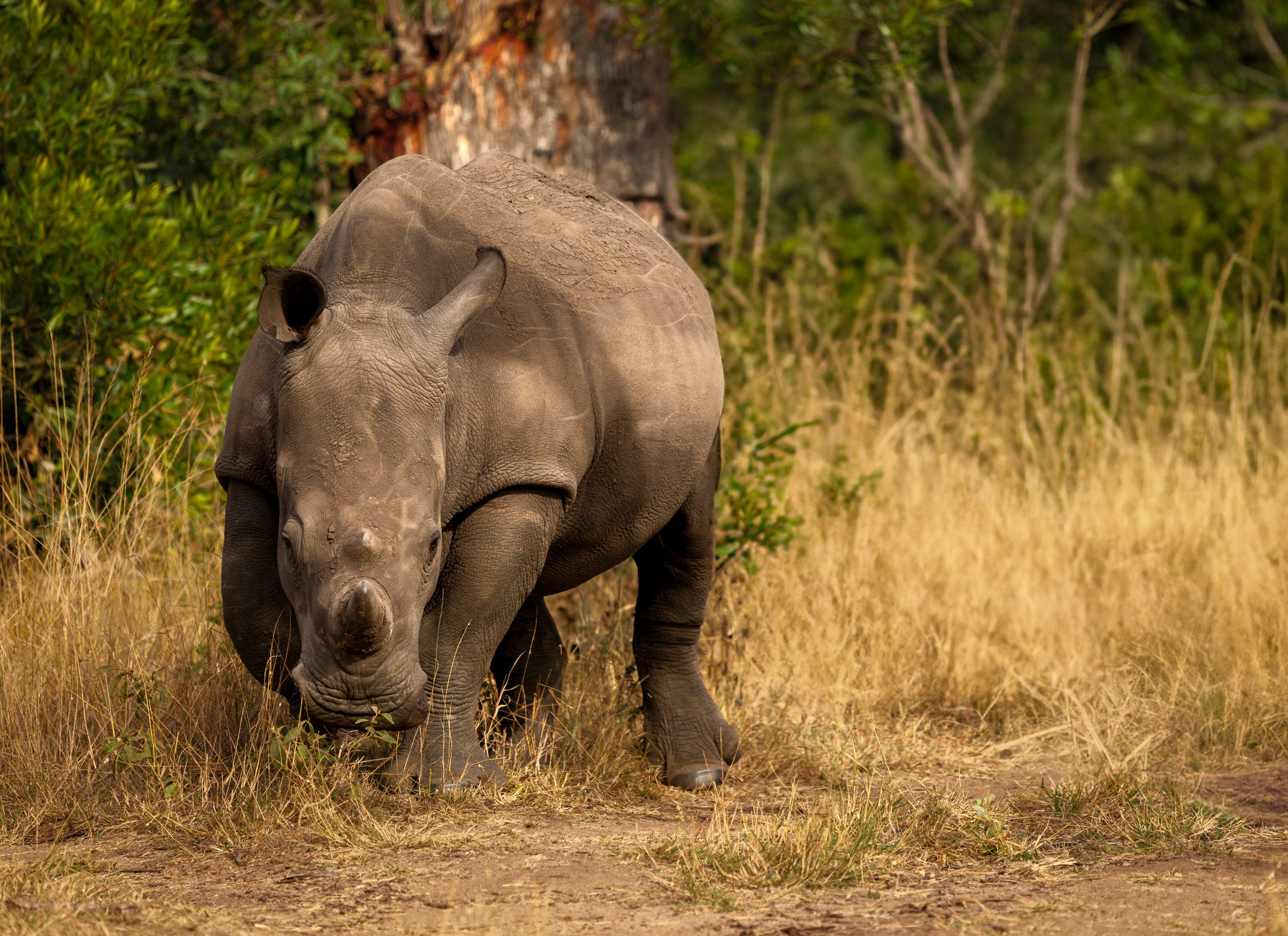 Singita, South Africa