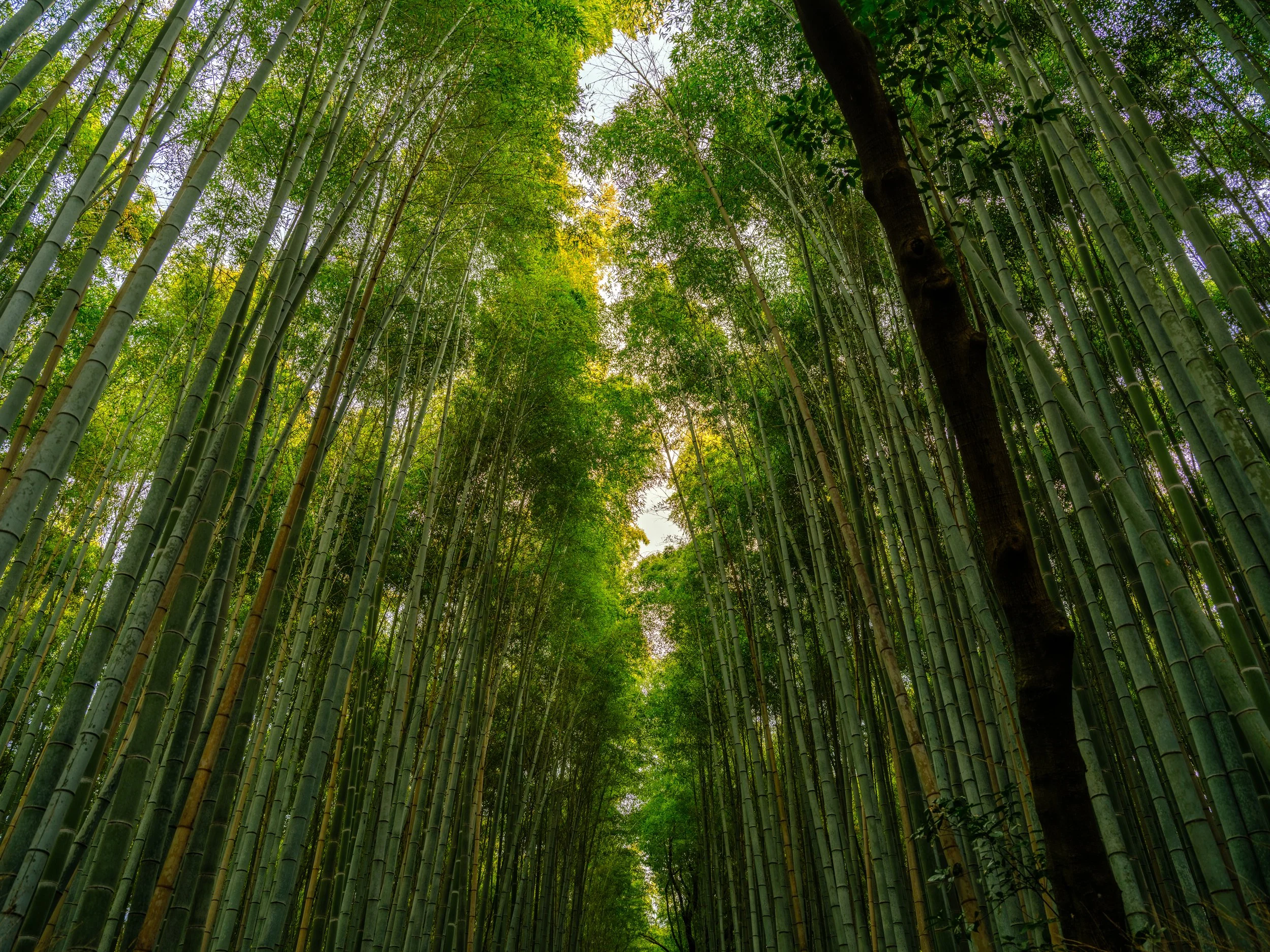 _DSF1275-HDR - Copy.jpg