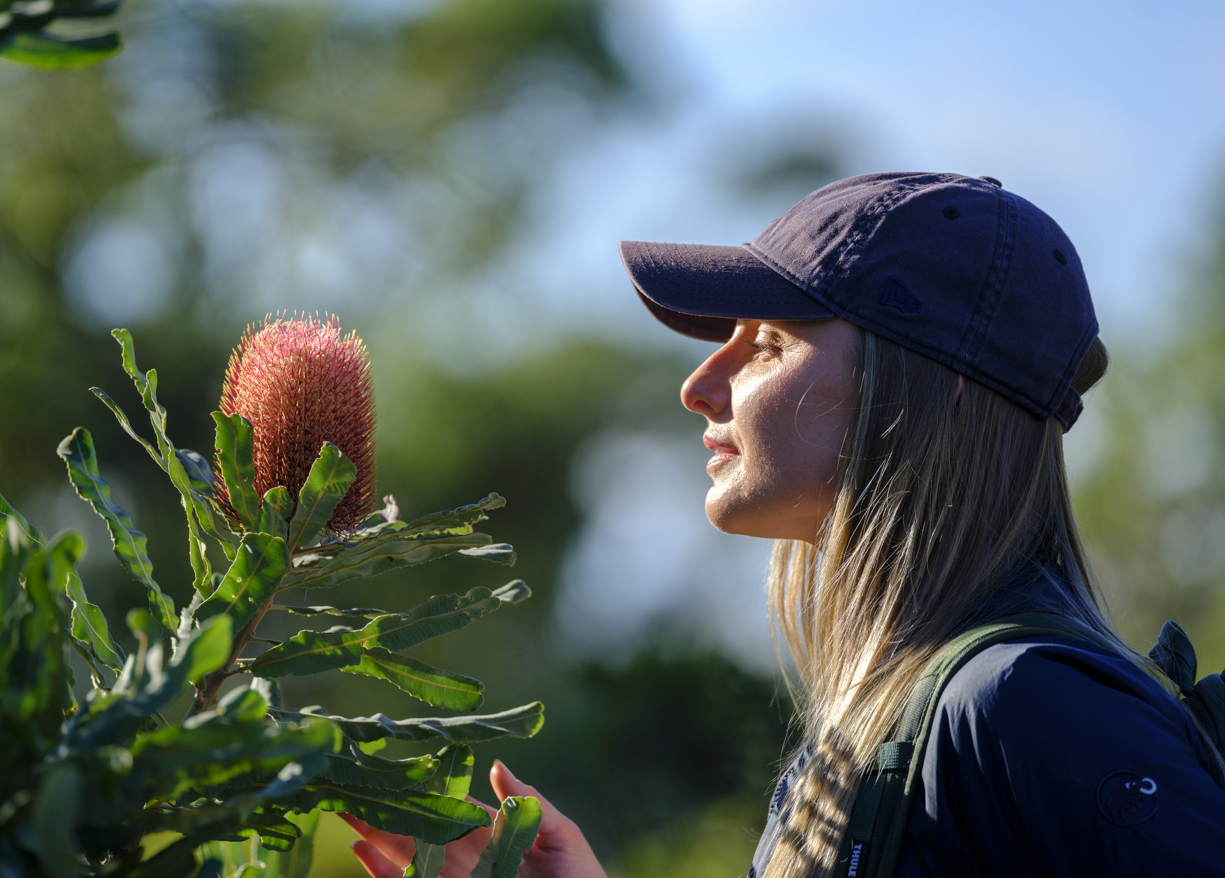 _DSF1427.jpg