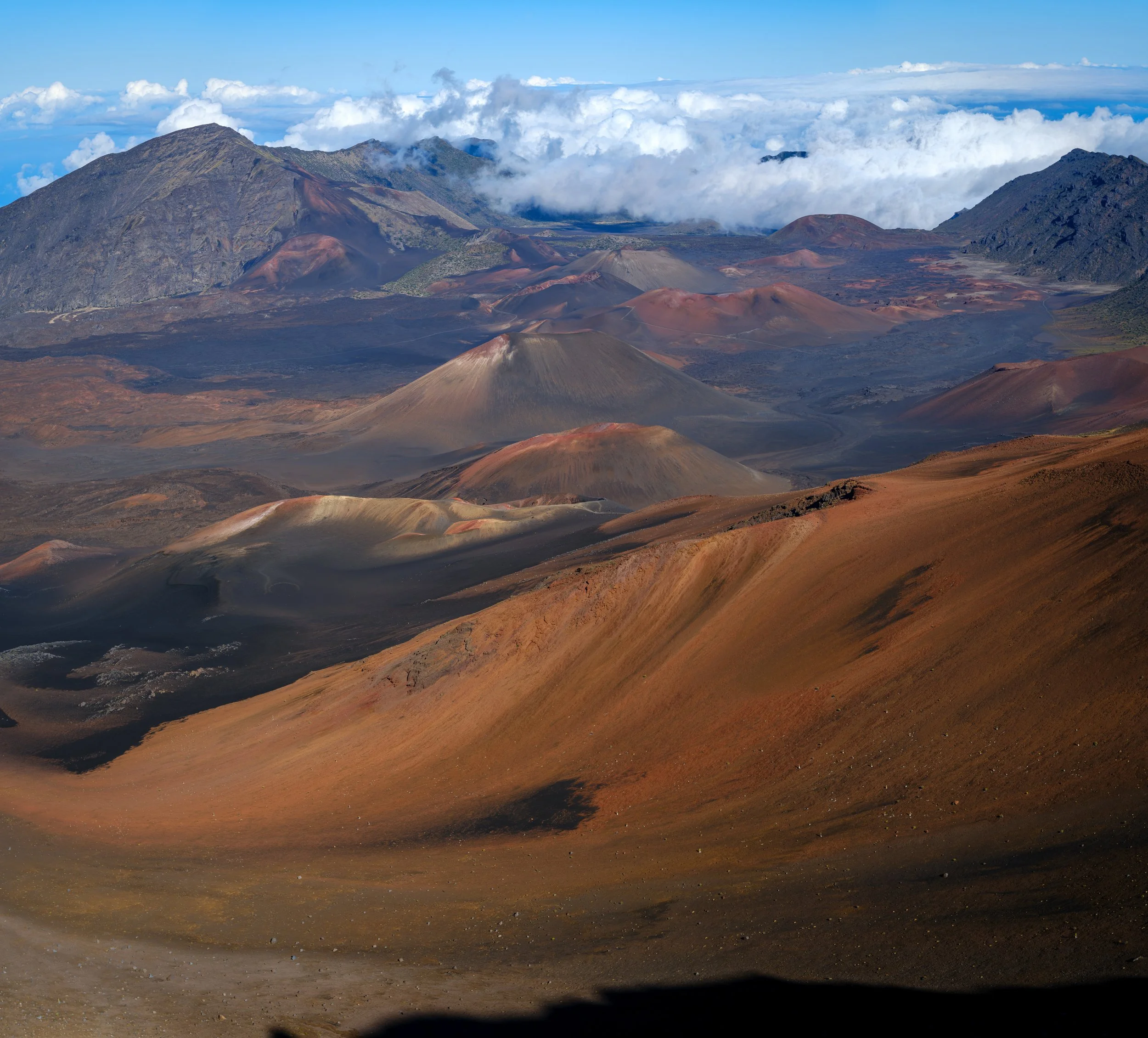 _DSF8402-Pano.jpg