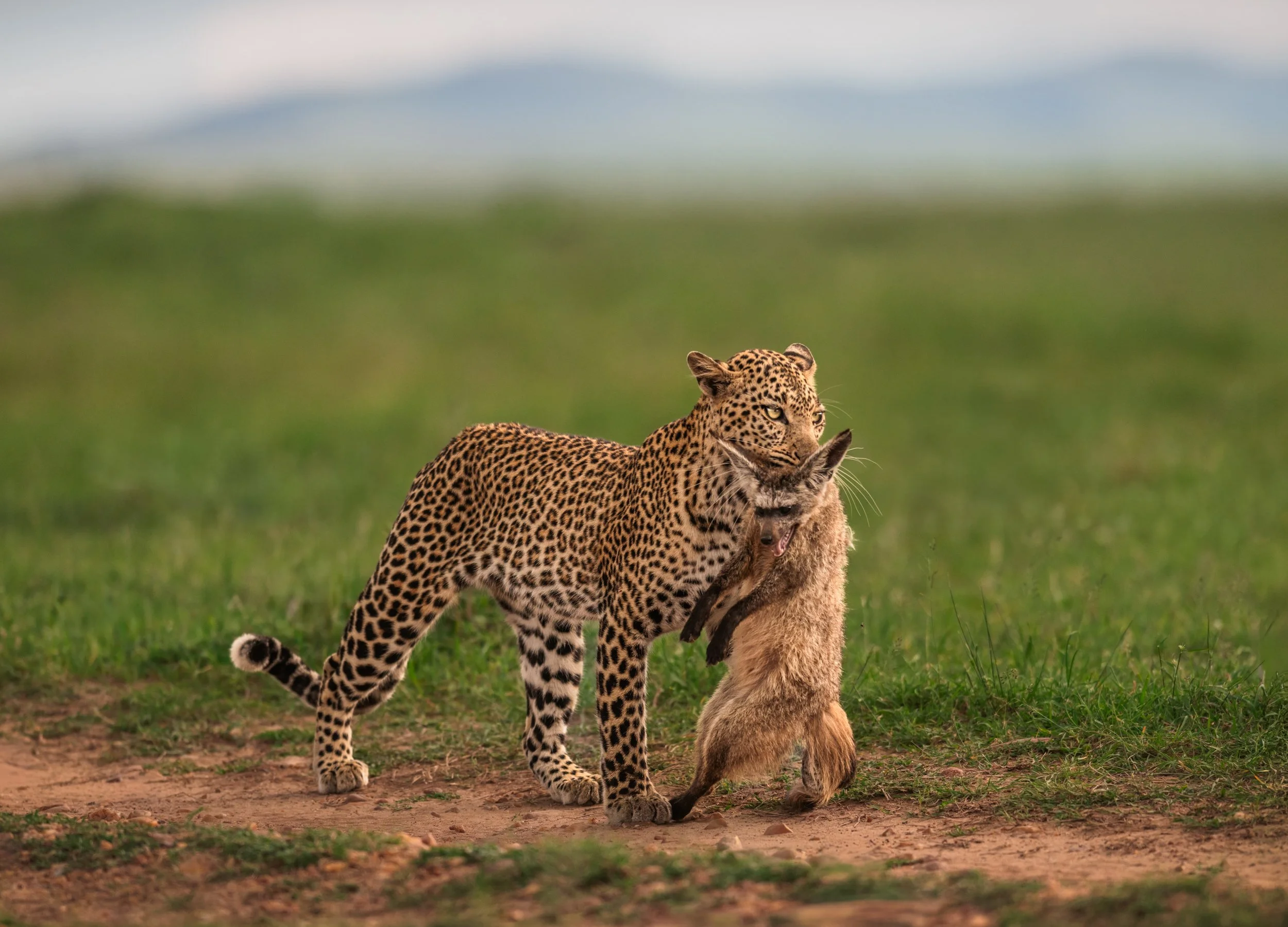 _DSC5787-Edit.jpg