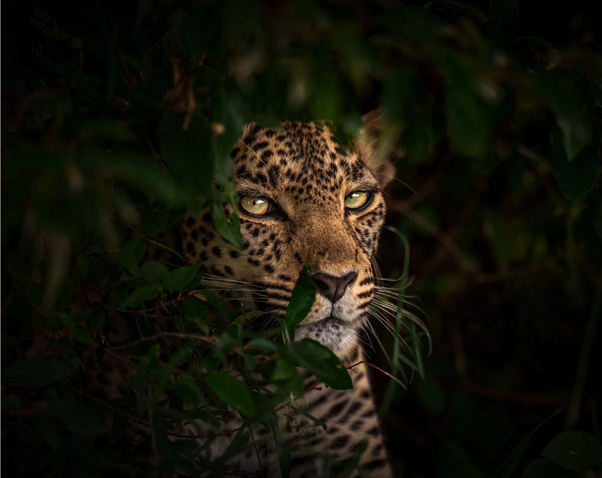 _DSC5584-Edit.jpg