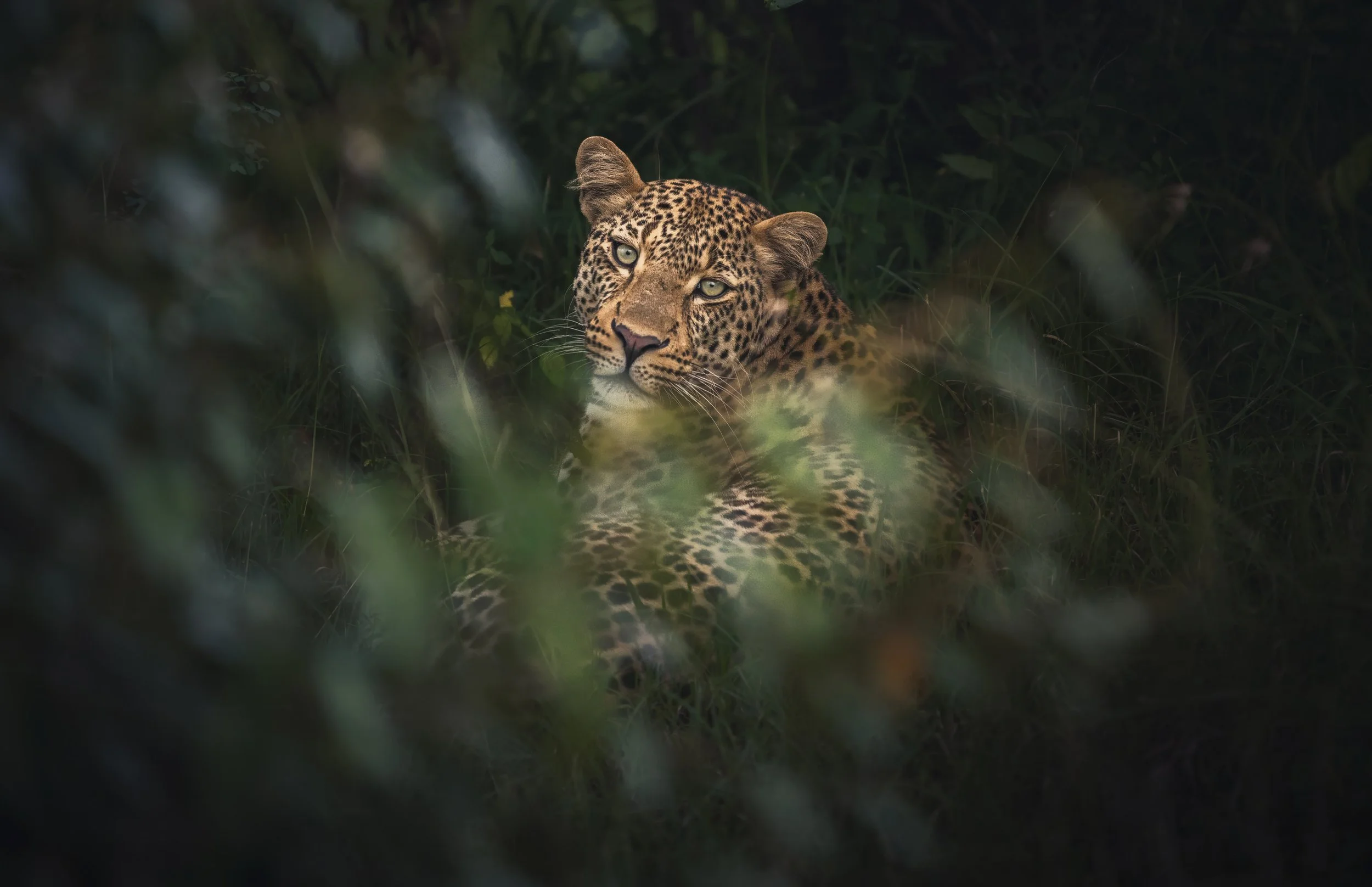 _DSC3149-Edit-2.jpg
