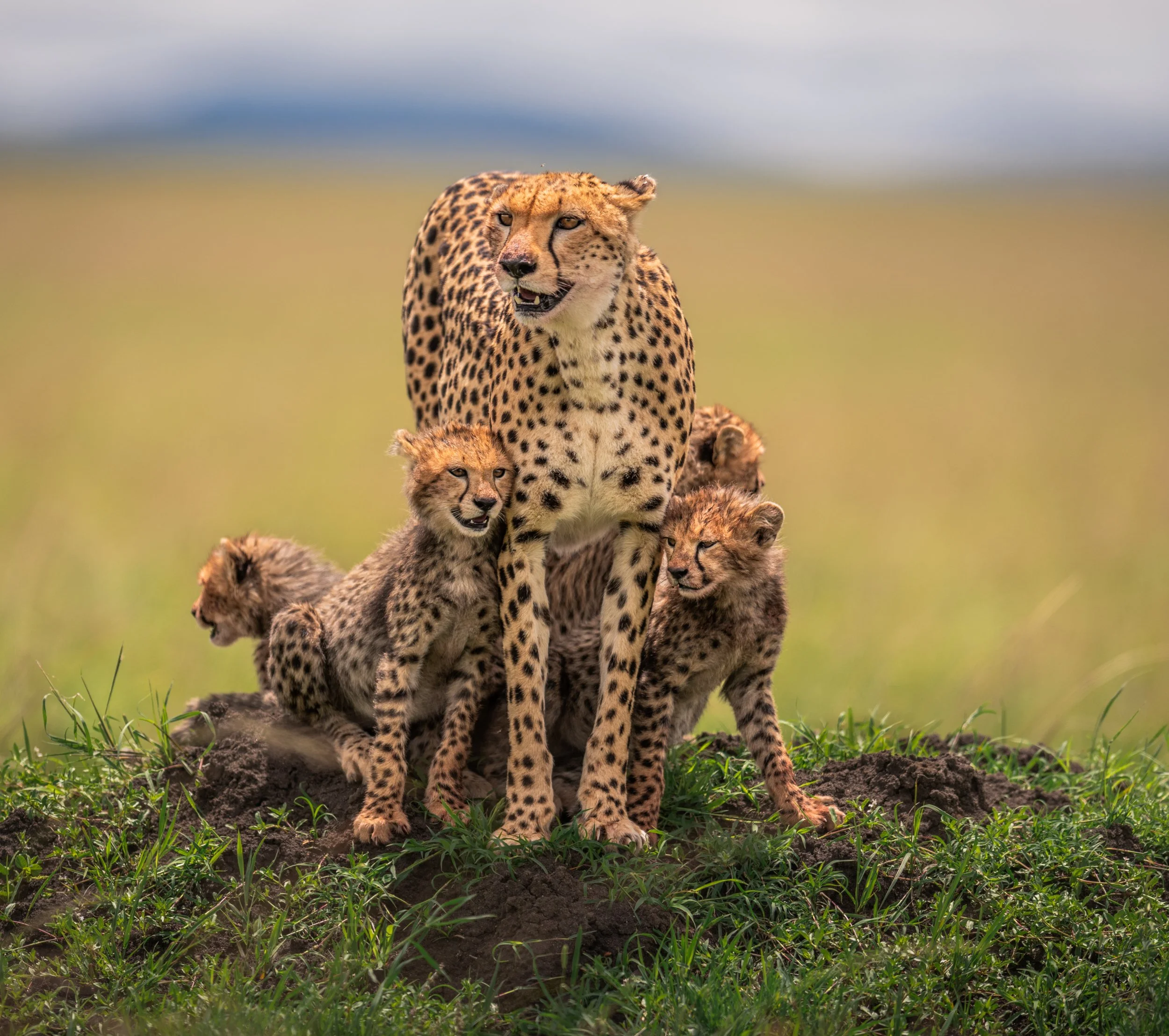 _DSC3157-Edit.jpg