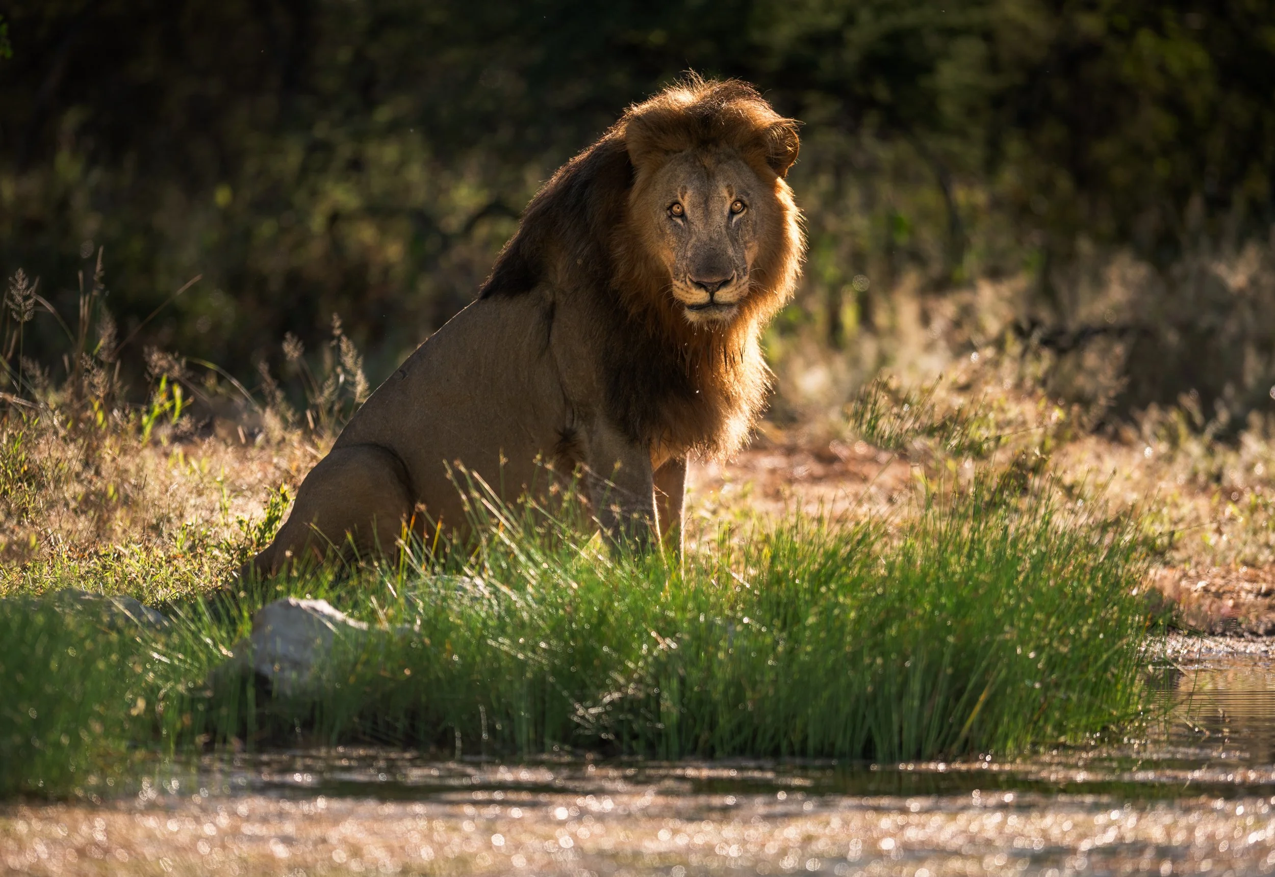 DSC_1430-Edit.jpg