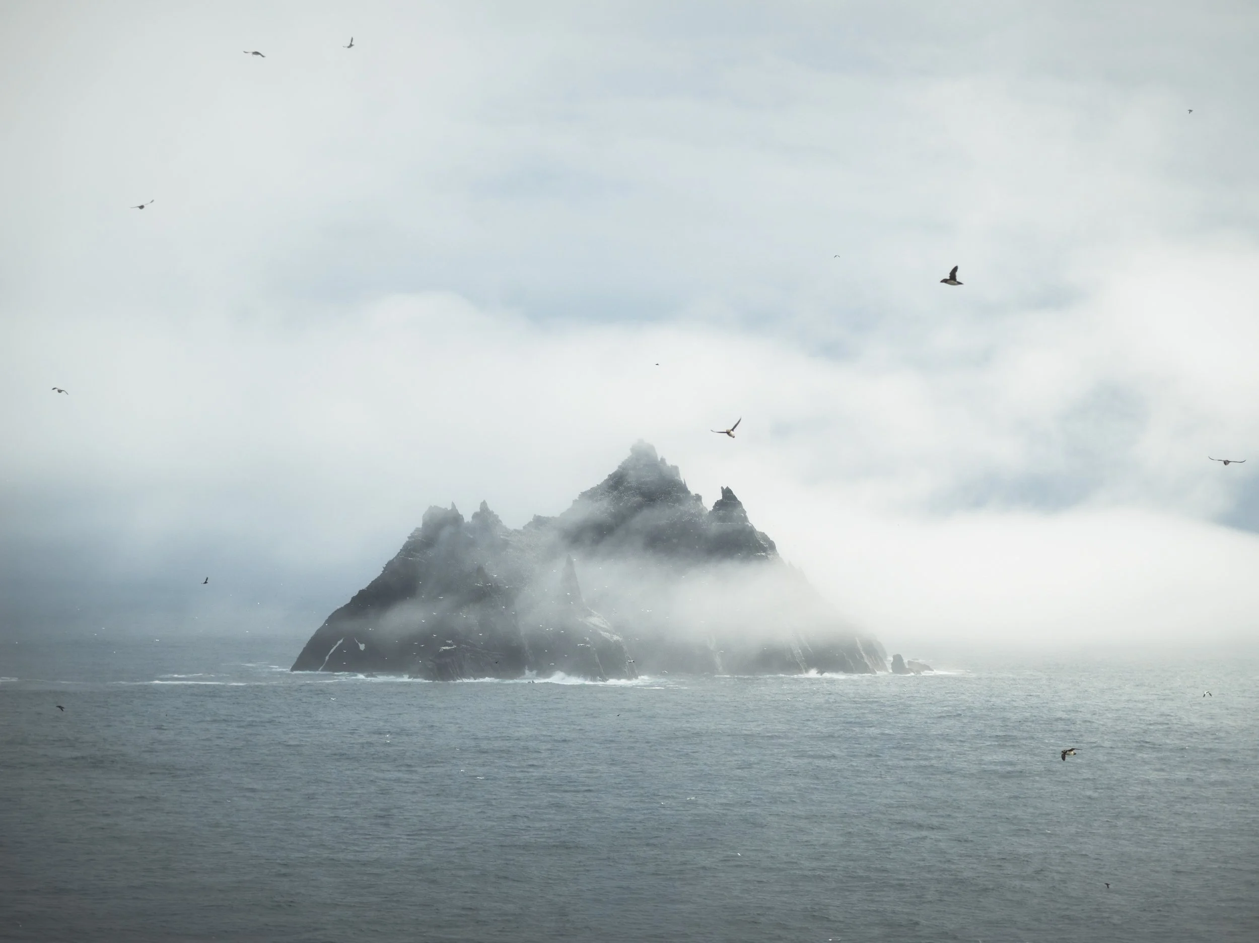 DSC_4774-Edit.jpg