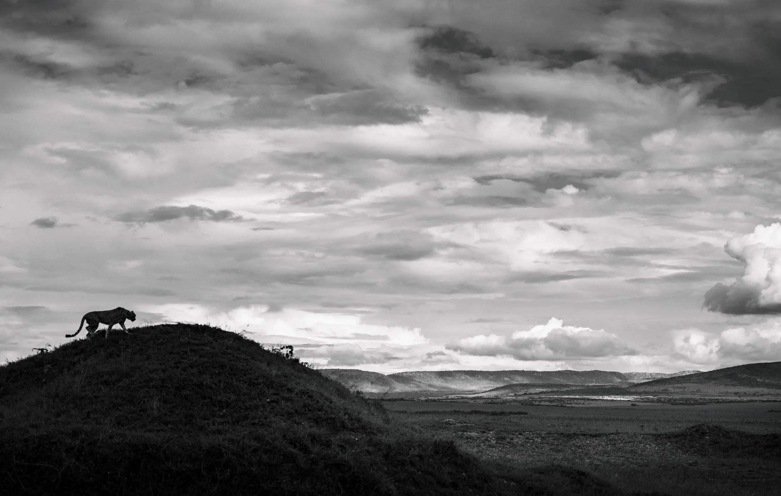 _DSC9015-2.jpg
