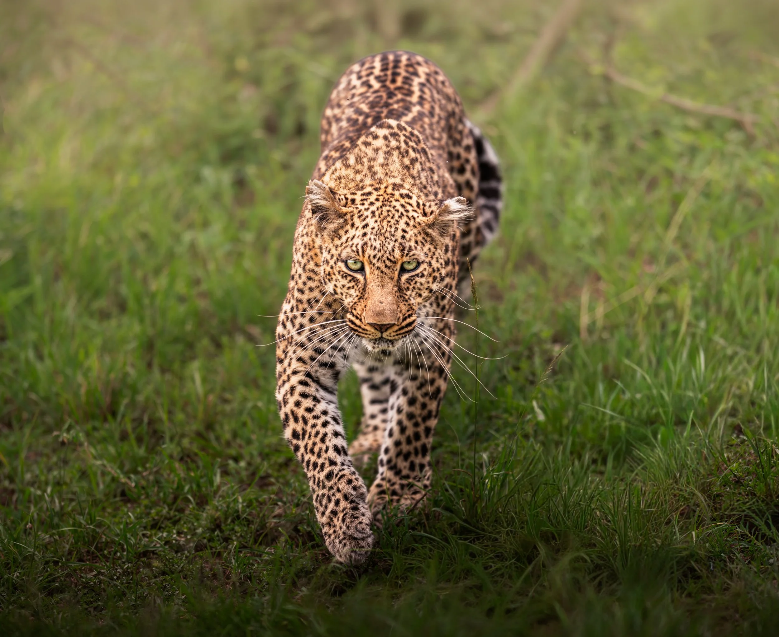 _DSC4361-Edit-2.jpg