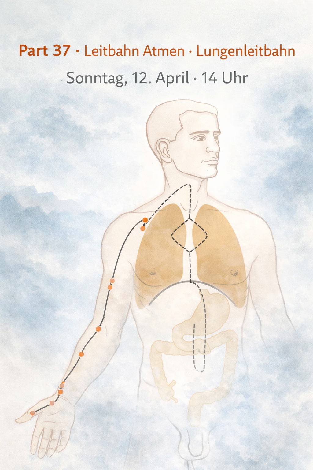 Part 37 – die Lungenleitbahn